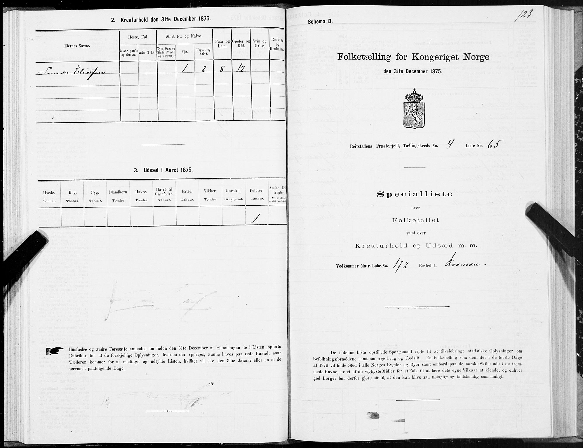 SAT, Folketelling 1875 for 1727P Beitstad prestegjeld, 1875, s. 3123