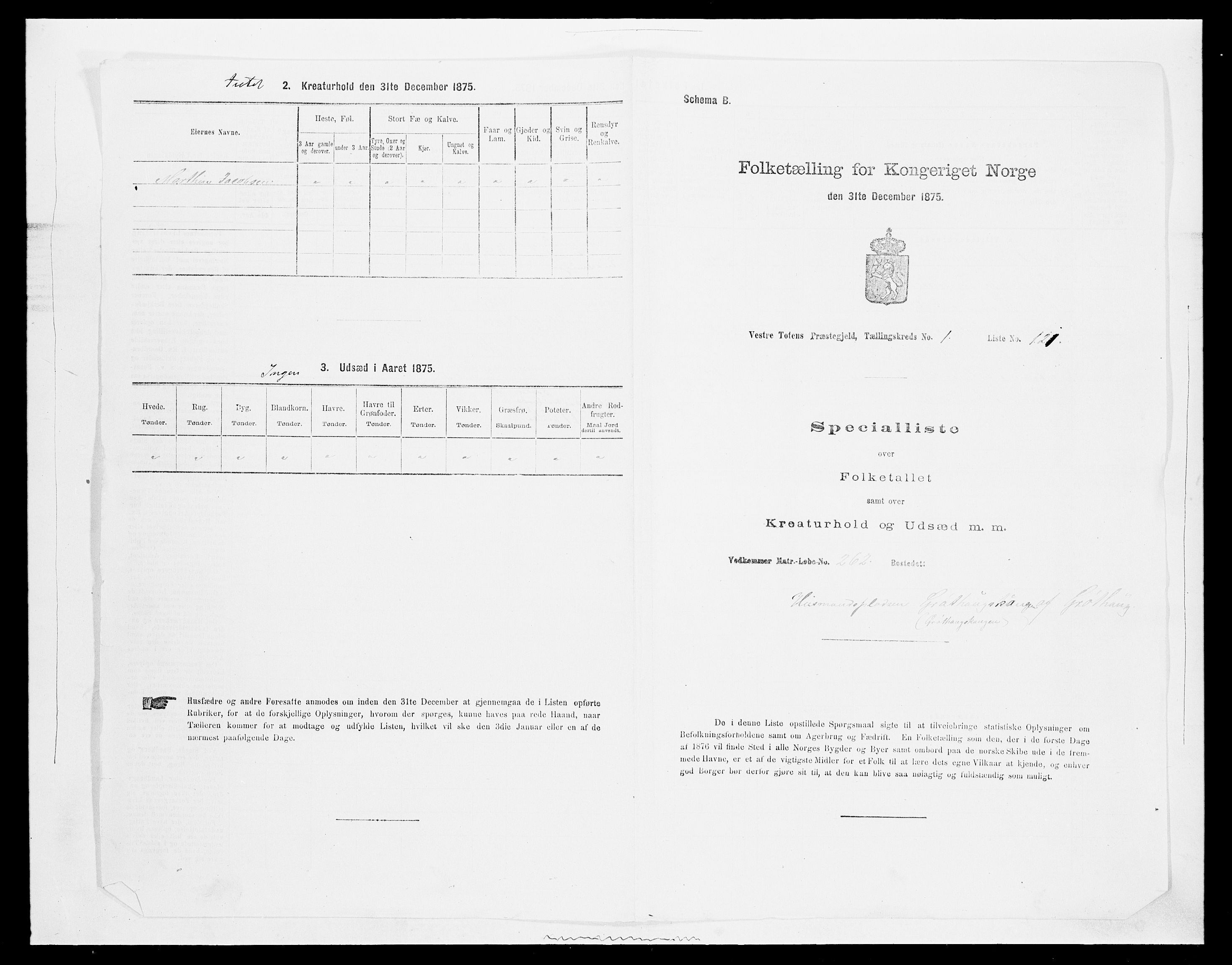 SAH, Folketelling 1875 for 0529P Vestre Toten prestegjeld, 1875, s. 424