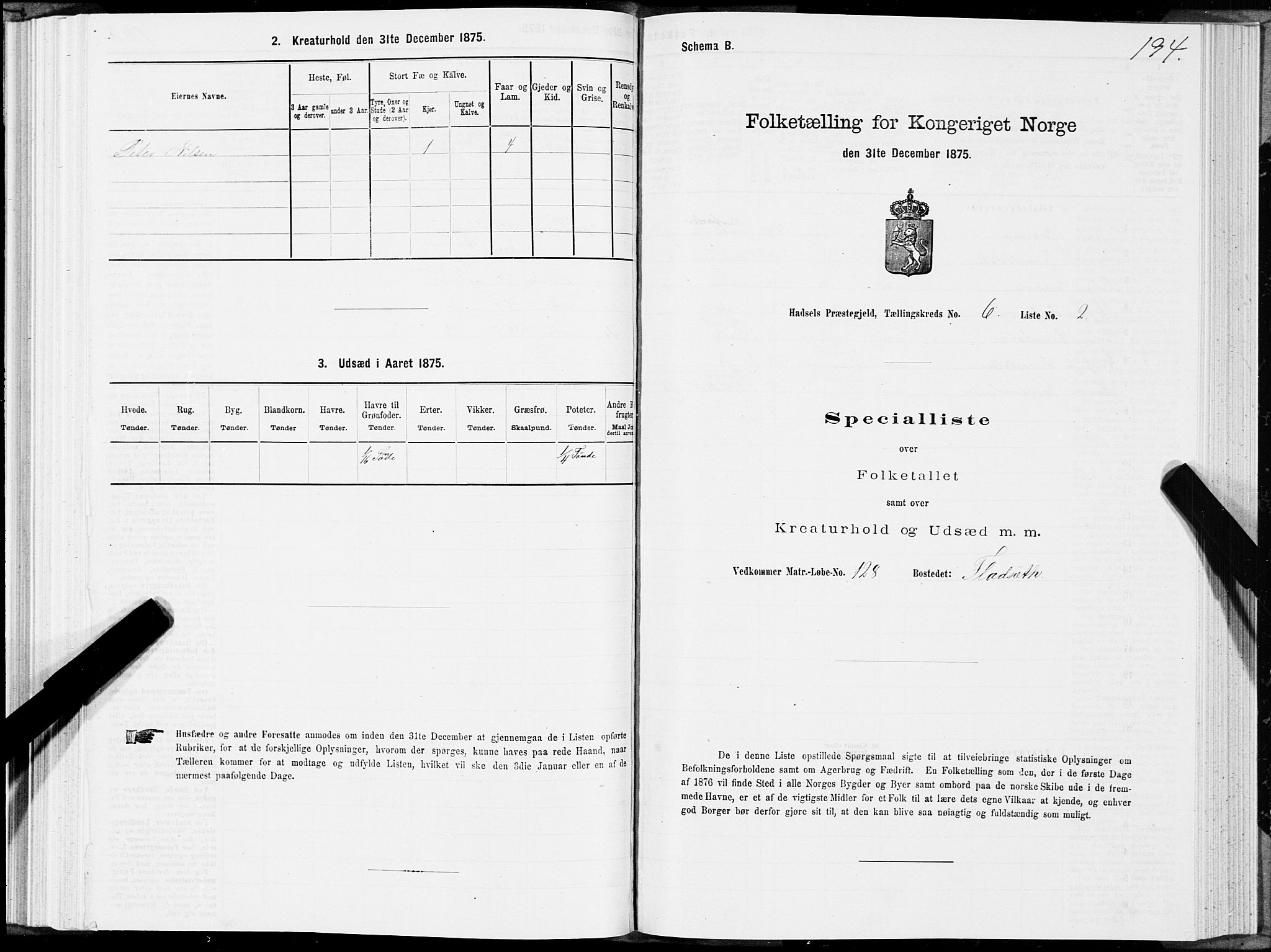 SAT, Folketelling 1875 for 1866P Hadsel prestegjeld, 1875, s. 3194