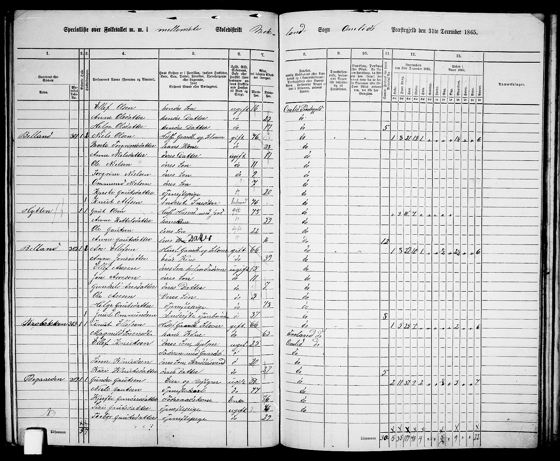 RA, Folketelling 1865 for 0929P Åmli prestegjeld, 1865, s. 84