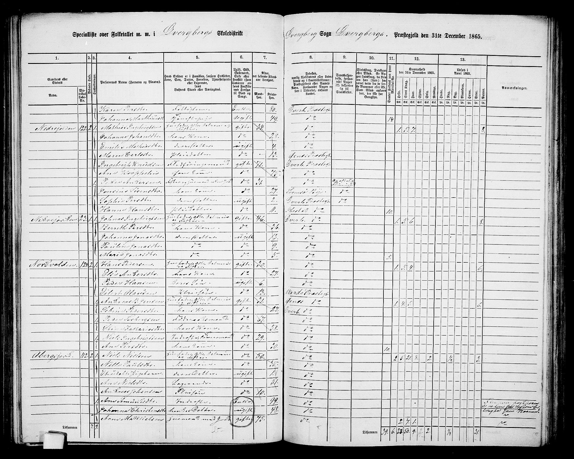 RA, Folketelling 1865 for 1872P Dverberg prestegjeld, 1865, s. 12