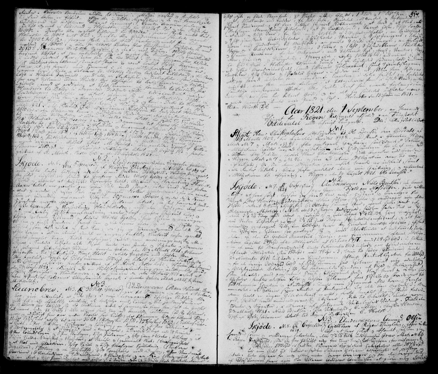 Lier, Røyken og Hurum sorenskriveri, AV/SAKO-A-89/G/Ga/Gab/L0002b: Pantebok nr. 2b, 1815-1824, s. 517