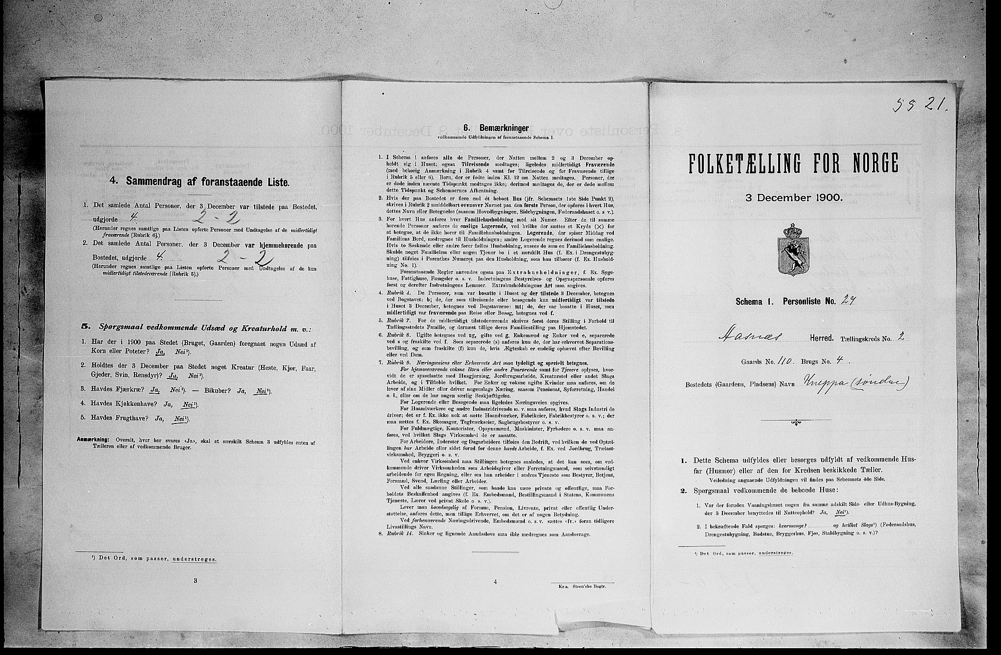 SAH, Folketelling 1900 for 0425 Åsnes herred, 1900, s. 305