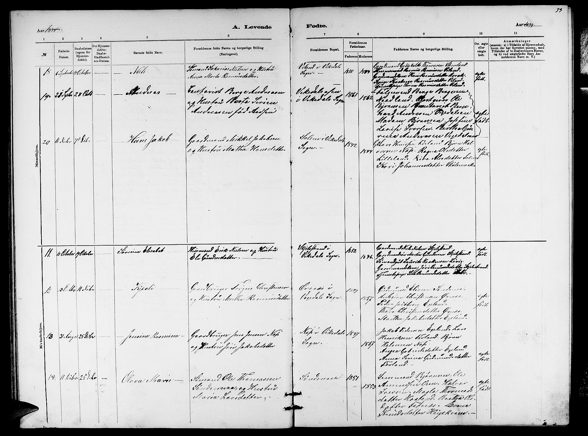 Vikedal sokneprestkontor, AV/SAST-A-101840/01/V: Klokkerbok nr. B 5, 1878-1888, s. 33