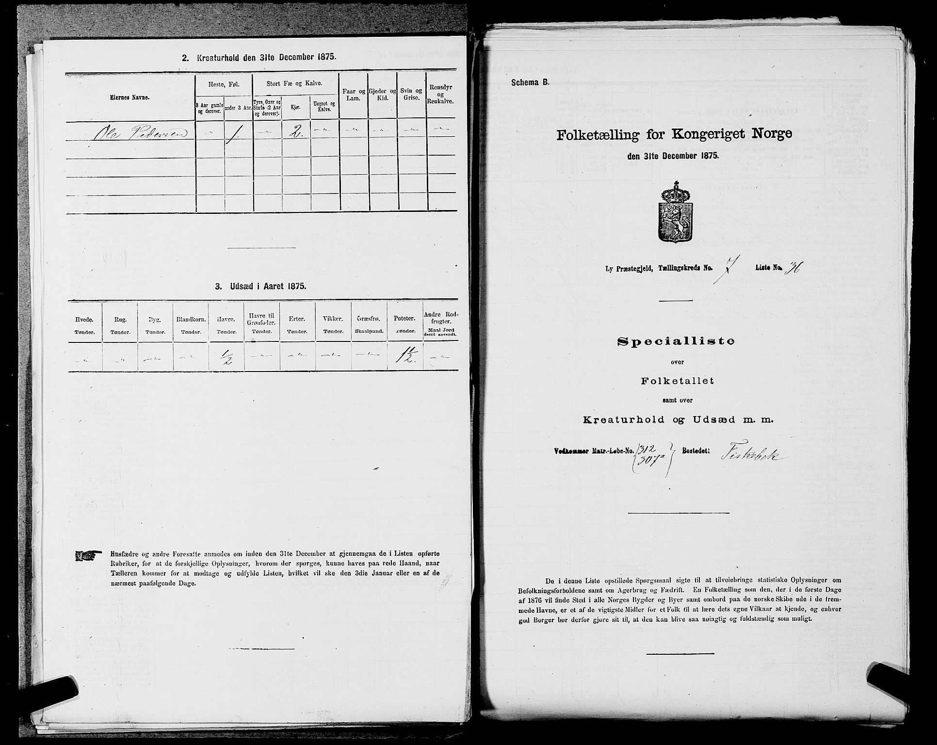 SAST, Folketelling 1875 for 1121P Lye prestegjeld, 1875, s. 880