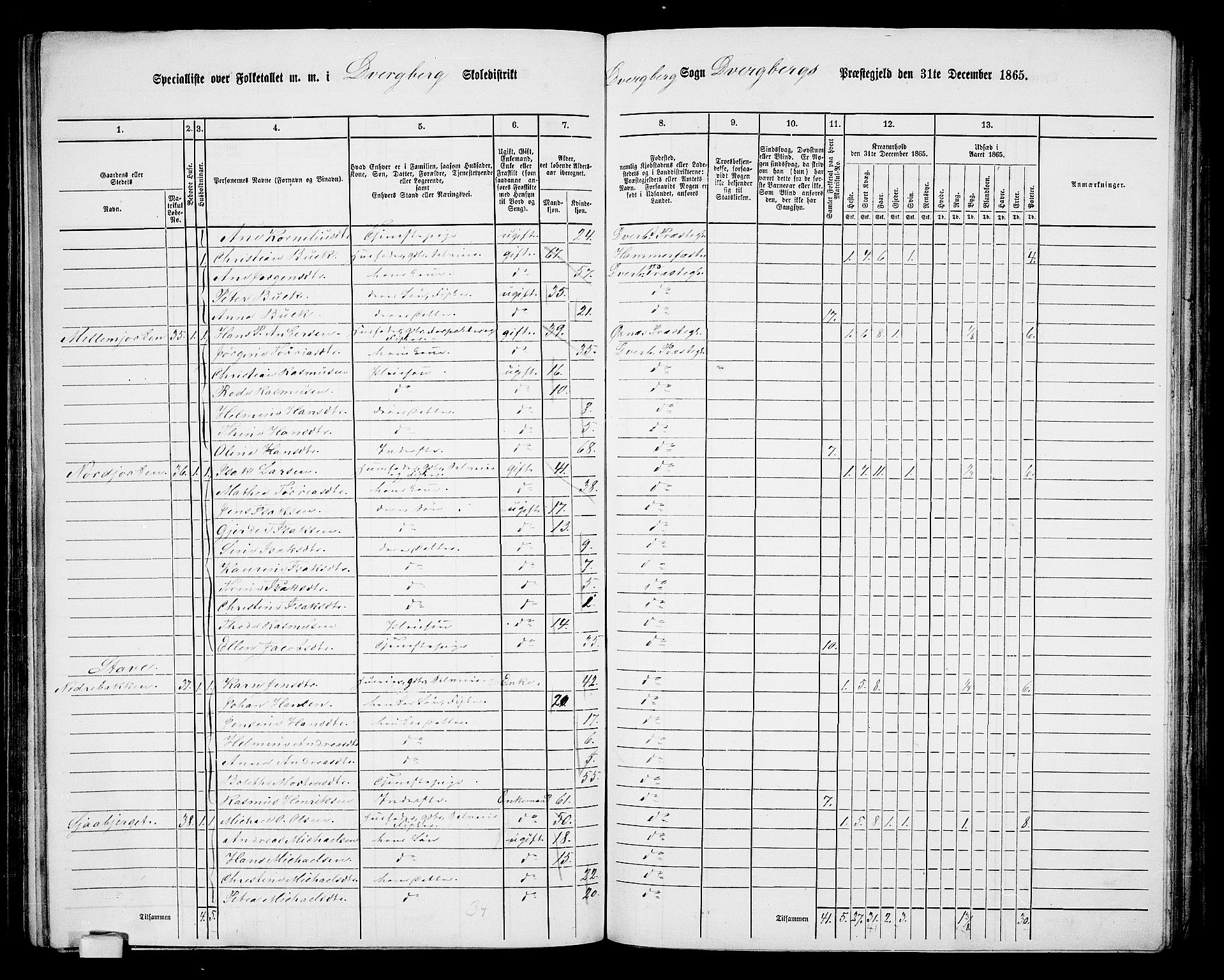 RA, Folketelling 1865 for 1872P Dverberg prestegjeld, 1865, s. 15