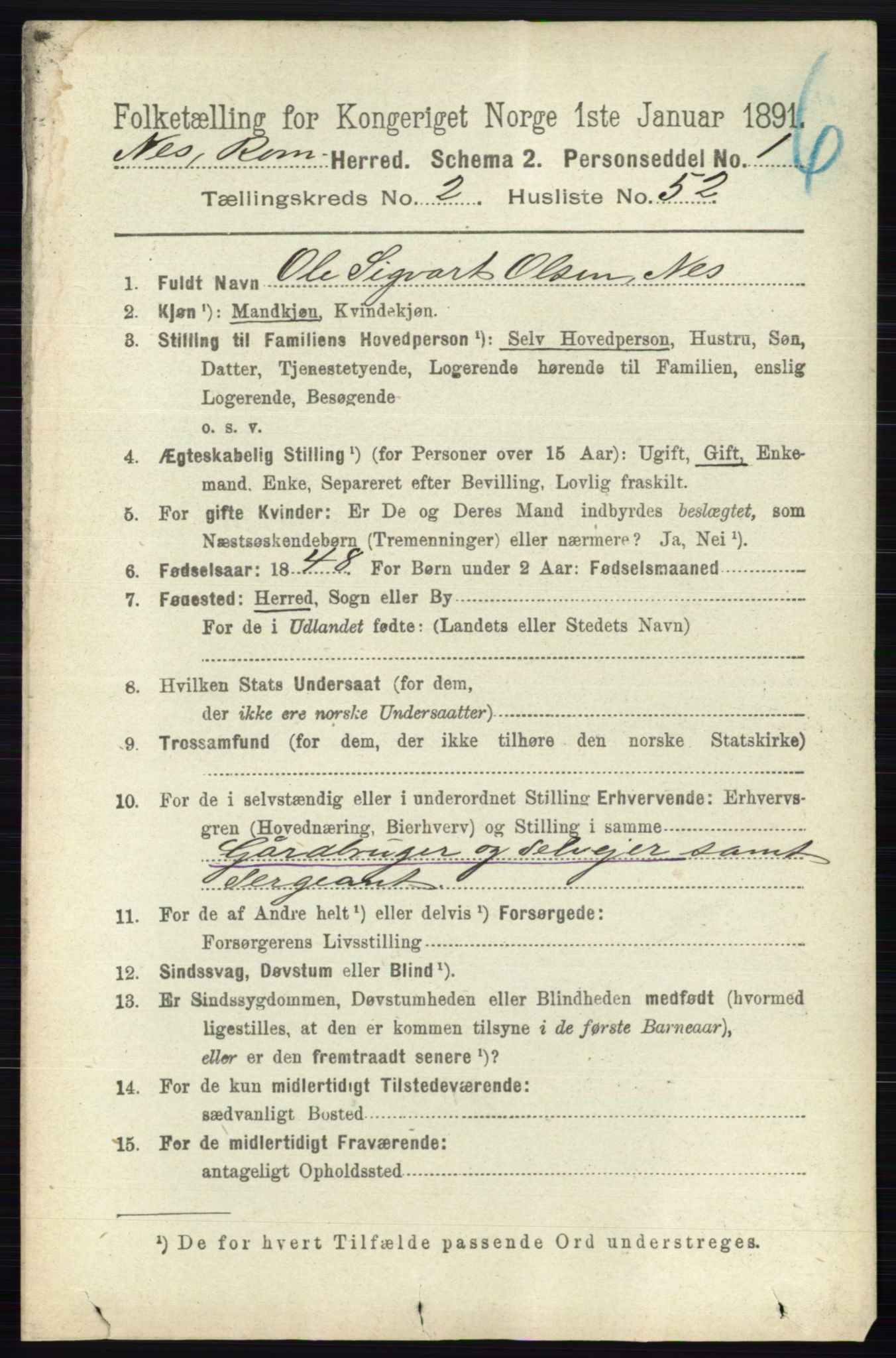 RA, Folketelling 1891 for 0236 Nes herred, 1891, s. 1201