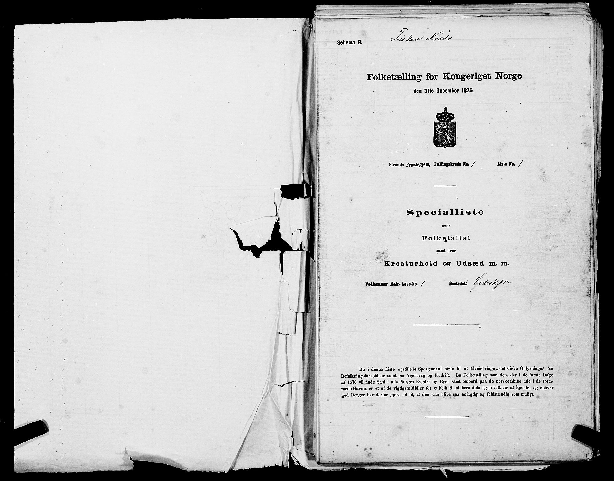 SAST, Folketelling 1875 for 1130P Strand prestegjeld, 1875, s. 37