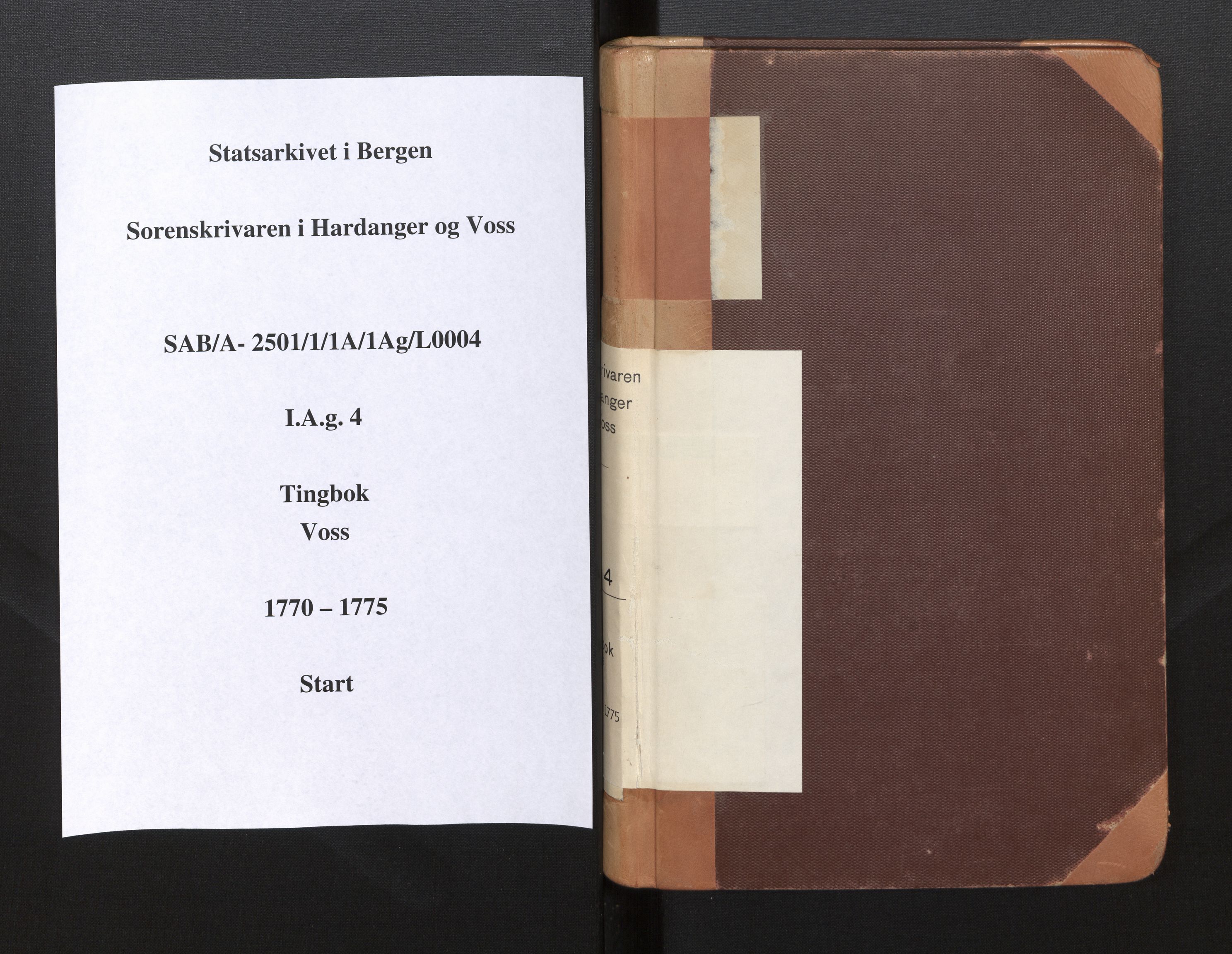 Hardanger og Voss sorenskriveri, SAB/A-2501/1/1A/1Ag/L0004: Tingbok for Voss, 1770-1775