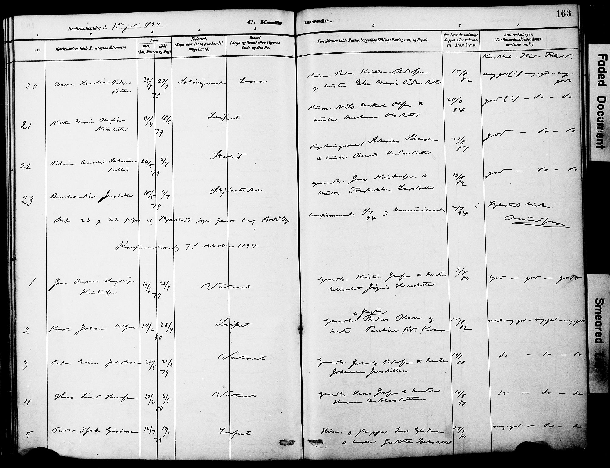 Ministerialprotokoller, klokkerbøker og fødselsregistre - Nordland, AV/SAT-A-1459/849/L0690: Ministerialbok nr. 849A02, 1890-1897, s. 163