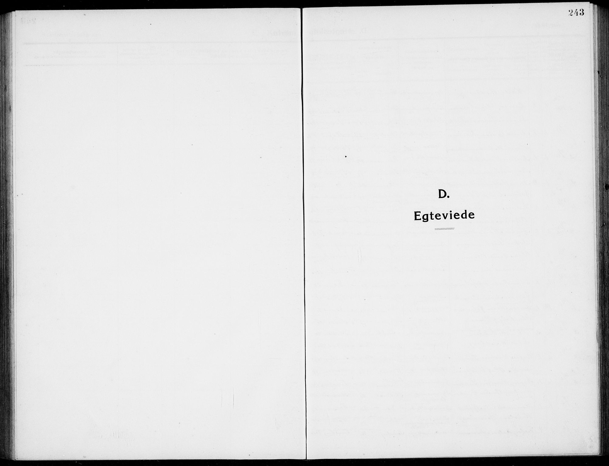 Tønsberg kirkebøker, SAKO/A-330/G/Ga/L0009: Klokkerbok nr. 9, 1913-1920, s. 243