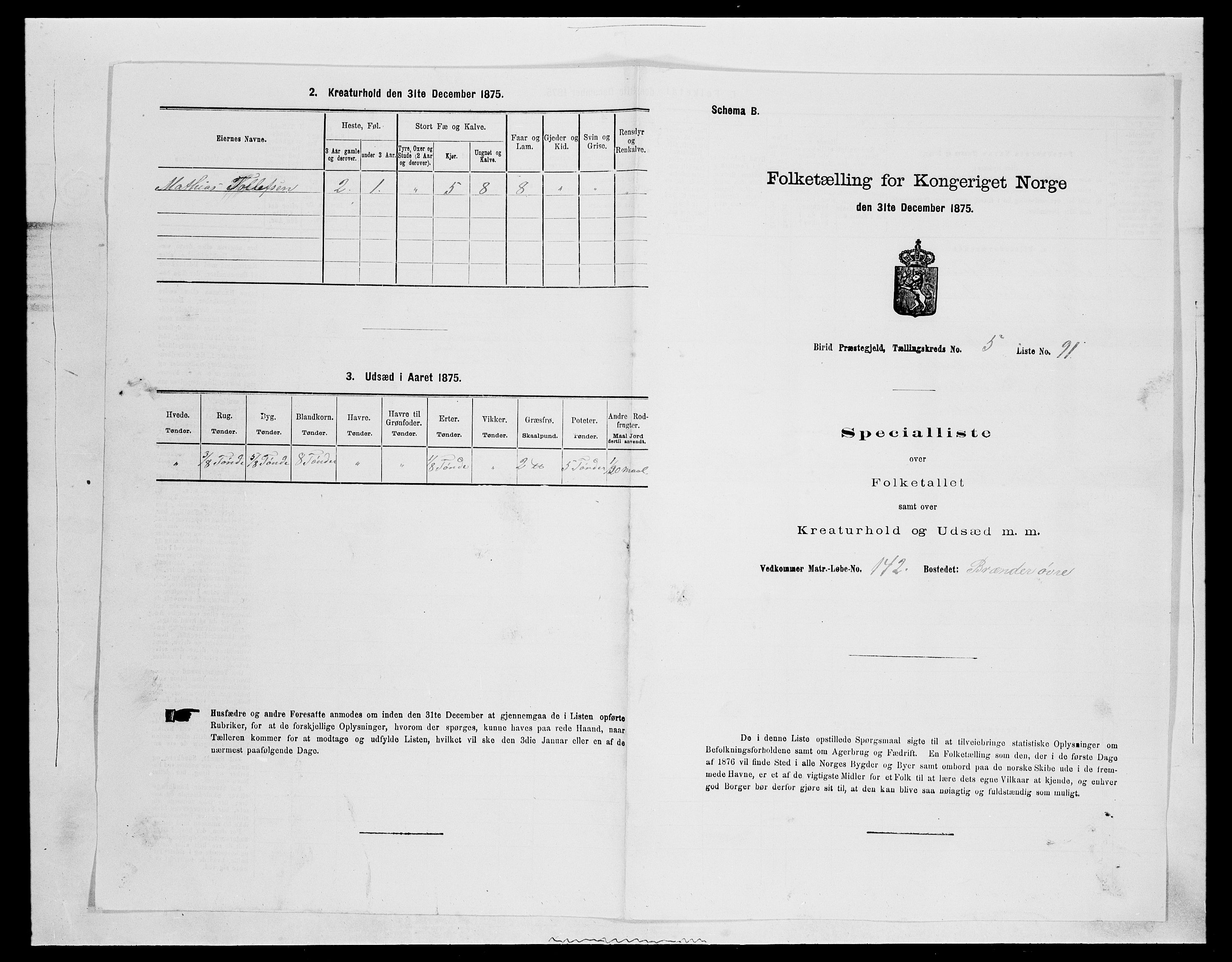 SAH, Folketelling 1875 for 0525P Biri prestegjeld, 1875, s. 1123