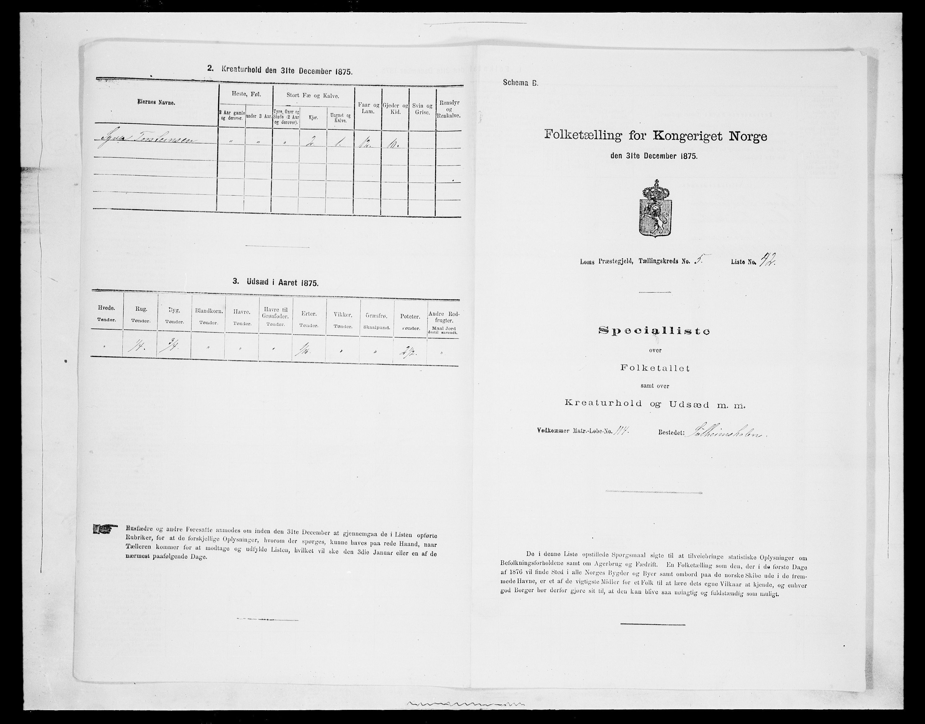 SAH, Folketelling 1875 for 0514P Lom prestegjeld, 1875, s. 825