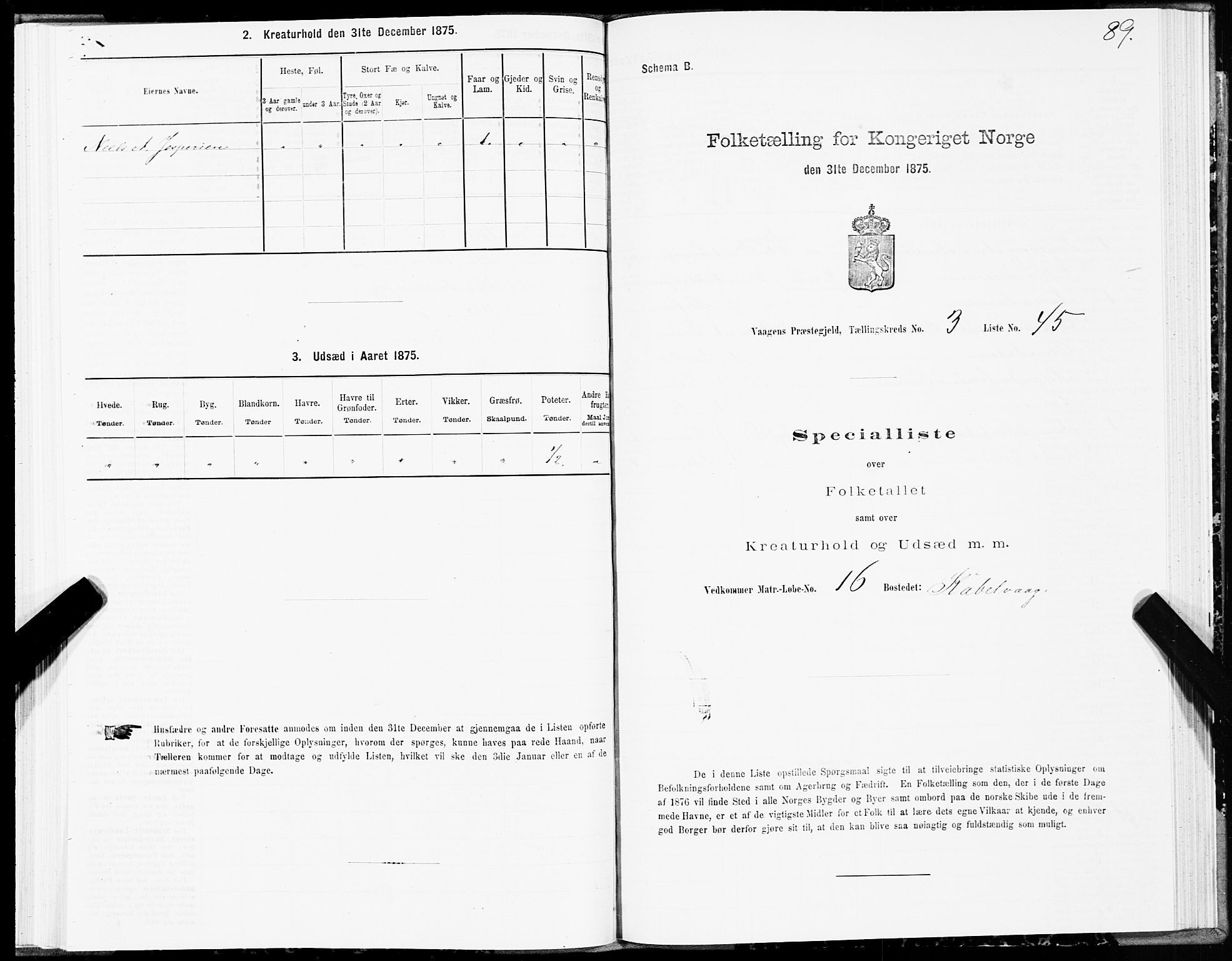 SAT, Folketelling 1875 for 1865P Vågan prestegjeld, 1875, s. 2089