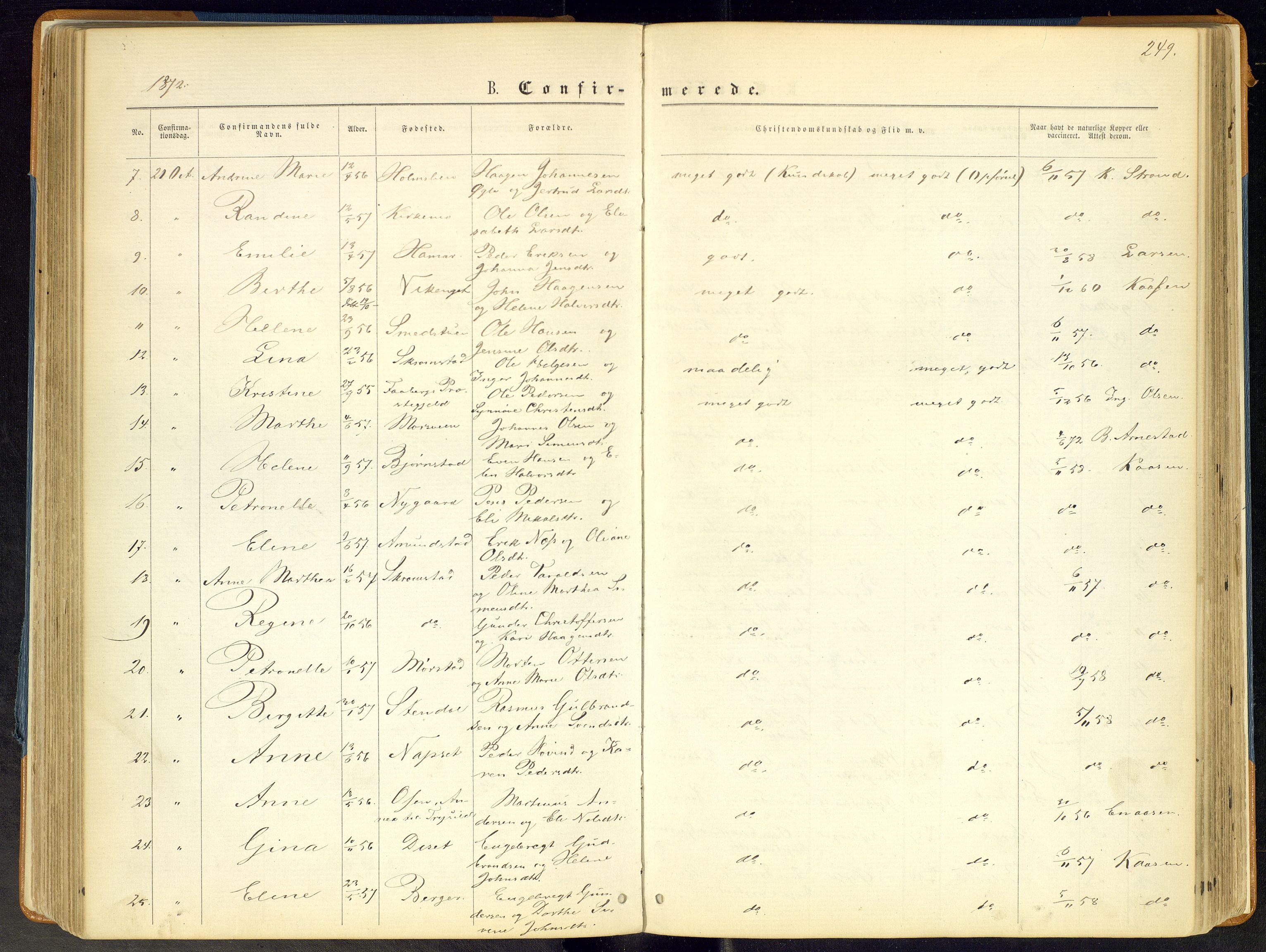 Åmot prestekontor, Hedmark, AV/SAH-PREST-056/H/Ha/Haa/L0008: Ministerialbok nr. 8, 1862-1875, s. 249