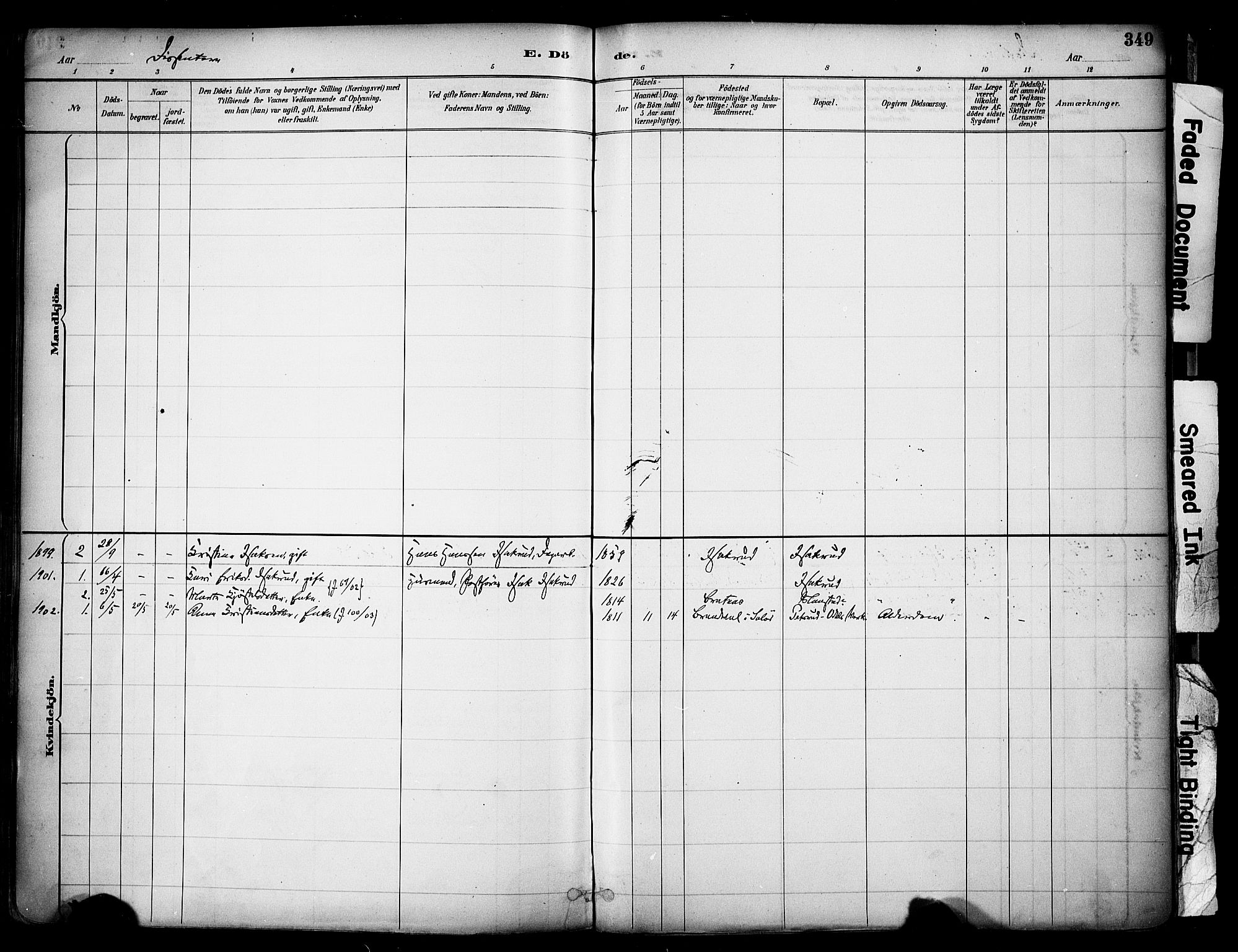 Sør-Odal prestekontor, AV/SAH-PREST-030/H/Ha/Haa/L0007: Ministerialbok nr. 7, 1886-1925, s. 349