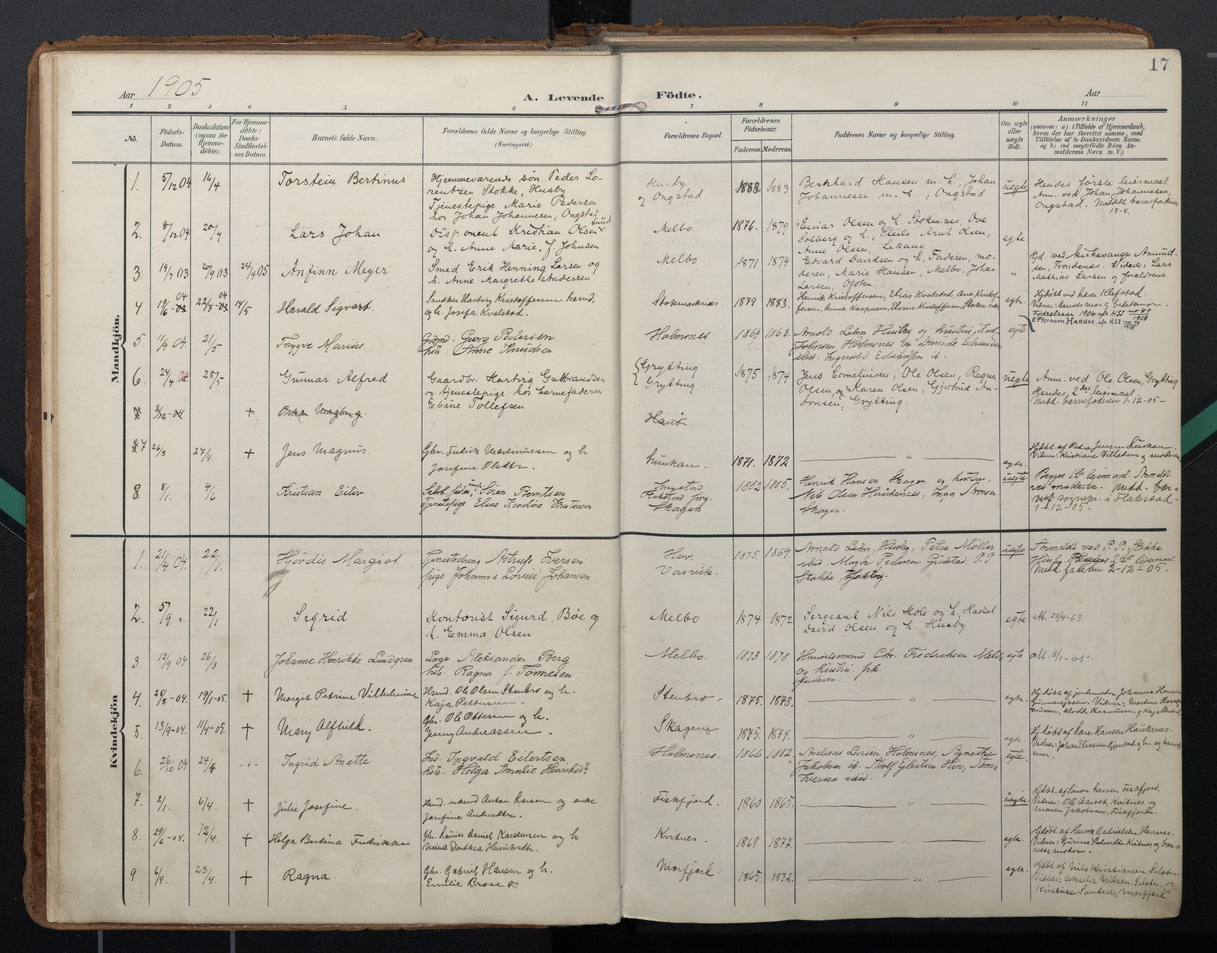 Ministerialprotokoller, klokkerbøker og fødselsregistre - Nordland, AV/SAT-A-1459/888/L1248: Ministerialbok nr. 888A14, 1904-1913, s. 17