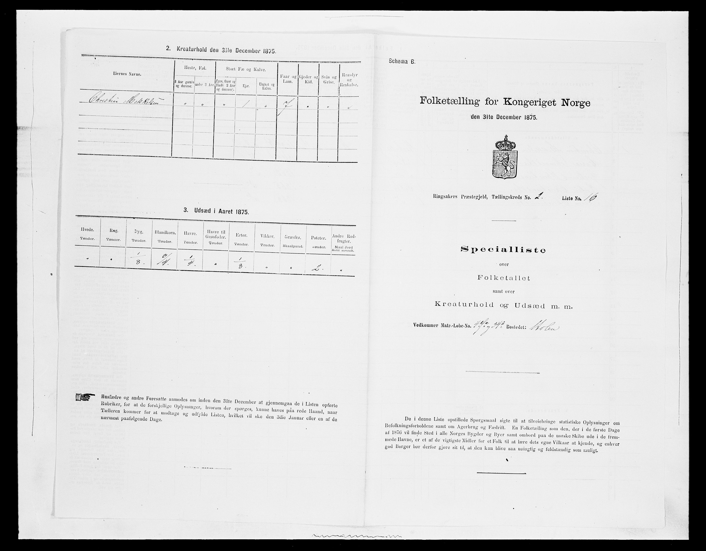 SAH, Folketelling 1875 for 0412P Ringsaker prestegjeld, 1875, s. 467