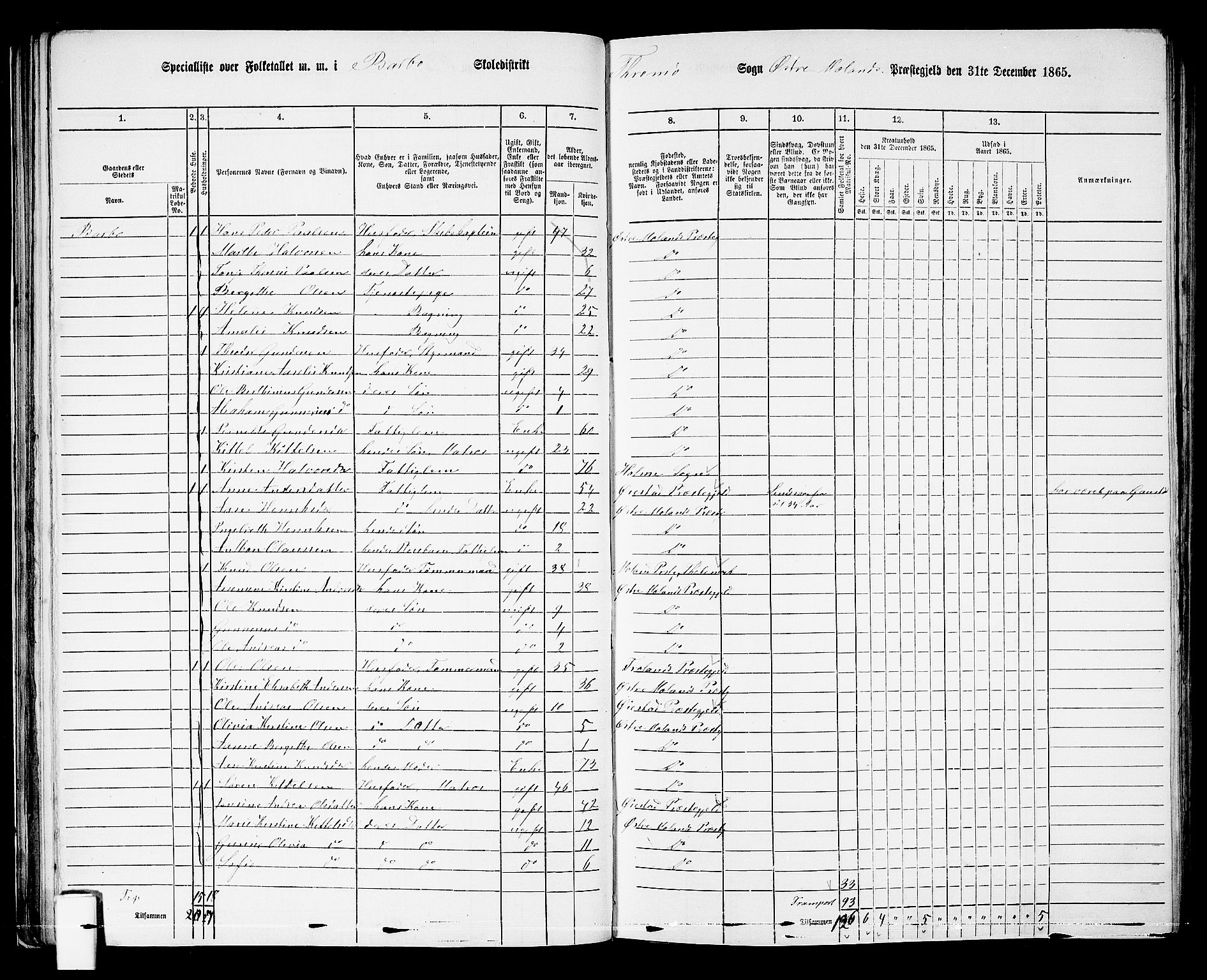 RA, Folketelling 1865 for 0918P Austre Moland prestegjeld, 1865, s. 62