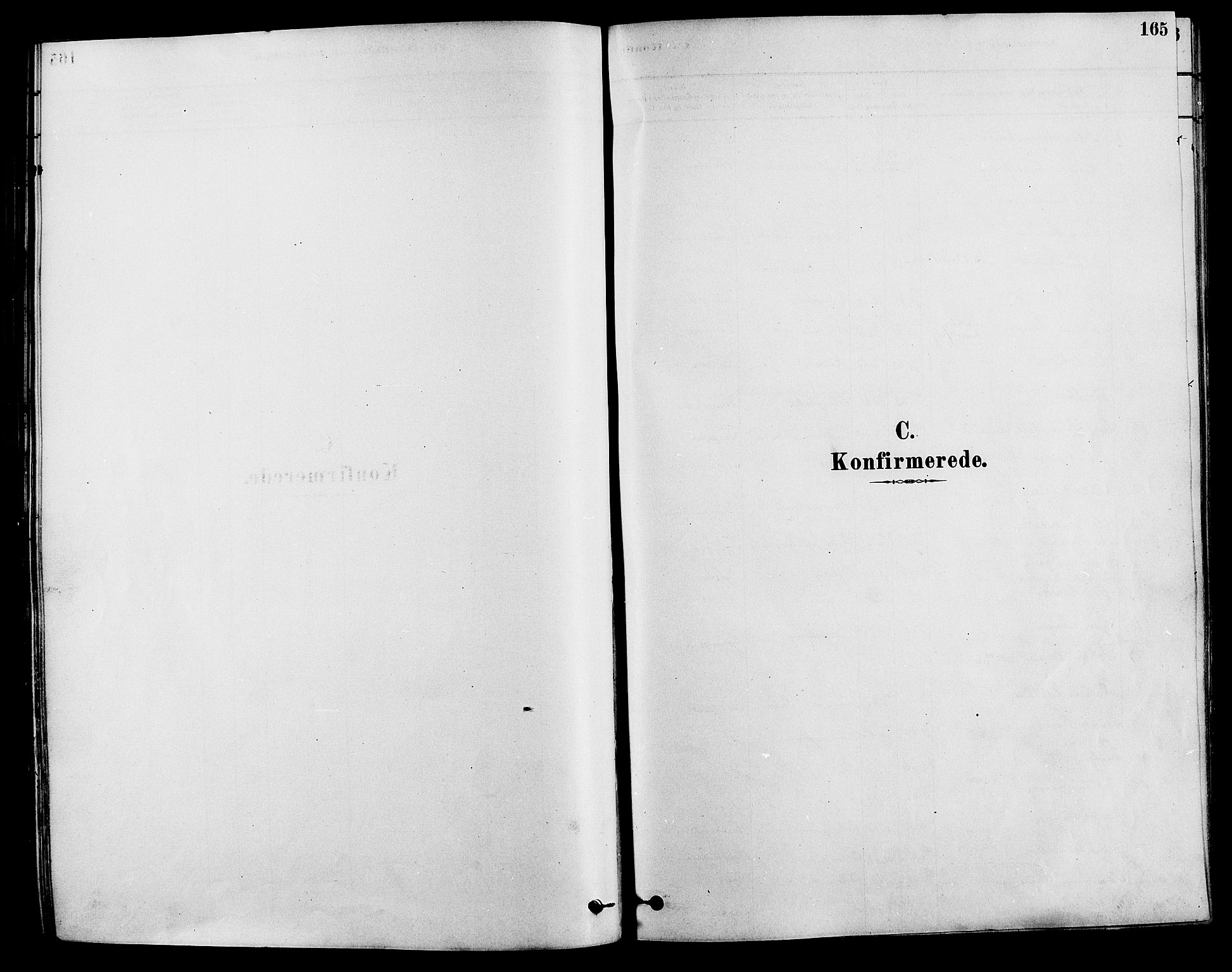Løten prestekontor, SAH/PREST-022/K/Ka/L0009: Ministerialbok nr. 9, 1878-1891, s. 165