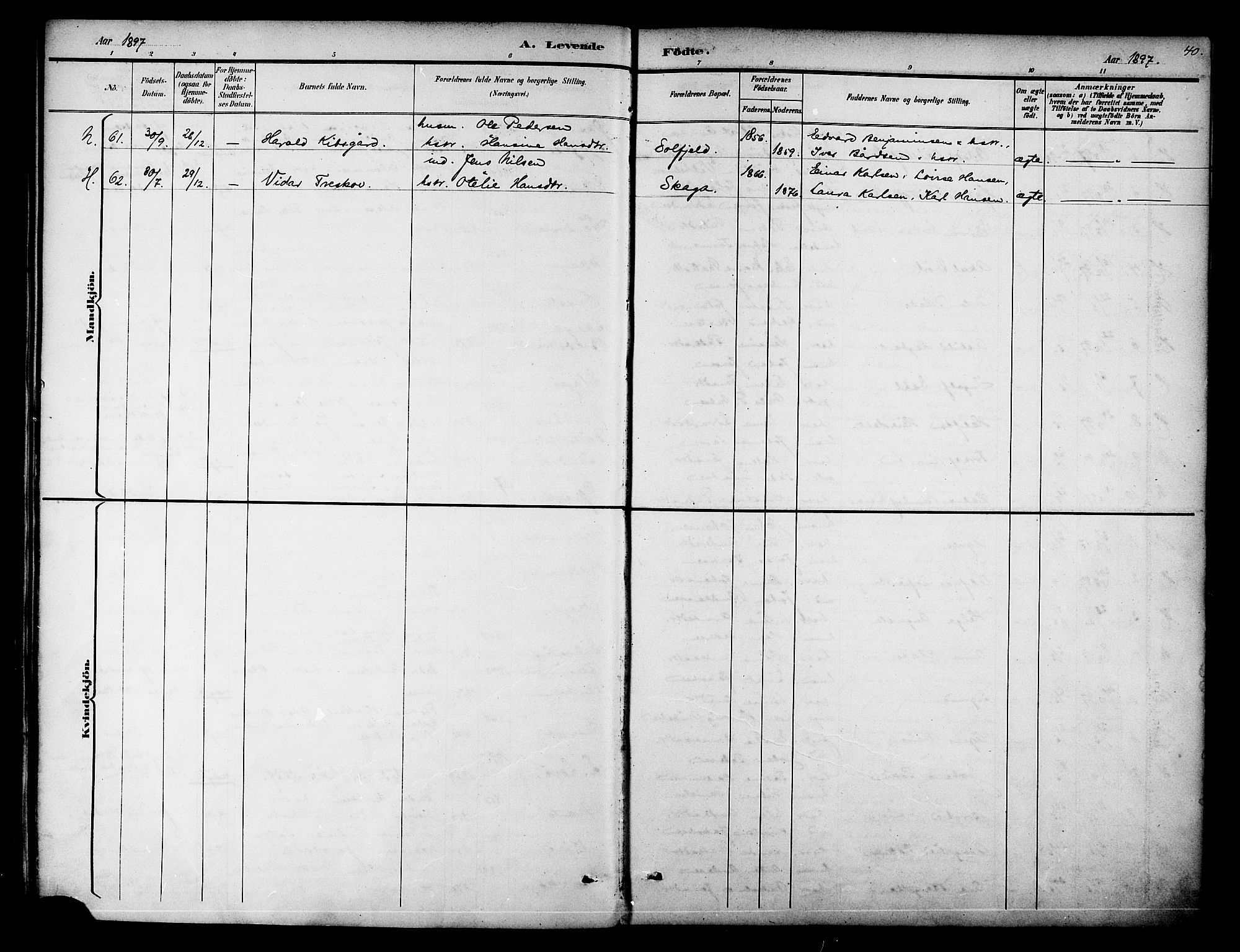 Ministerialprotokoller, klokkerbøker og fødselsregistre - Nordland, AV/SAT-A-1459/834/L0508: Ministerialbok nr. 834A06, 1892-1901, s. 40