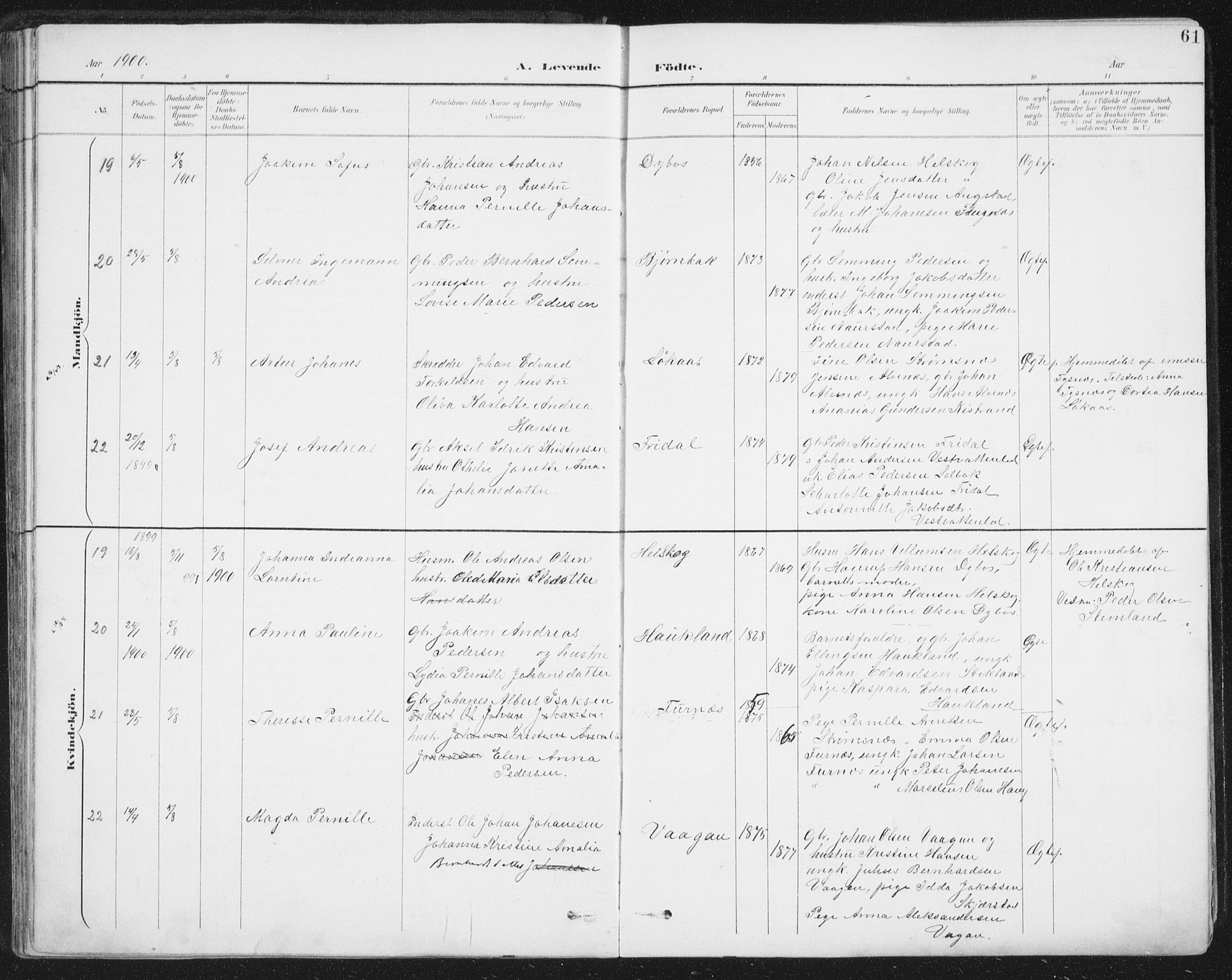 Ministerialprotokoller, klokkerbøker og fødselsregistre - Nordland, SAT/A-1459/852/L0741: Ministerialbok nr. 852A11, 1894-1917, s. 61