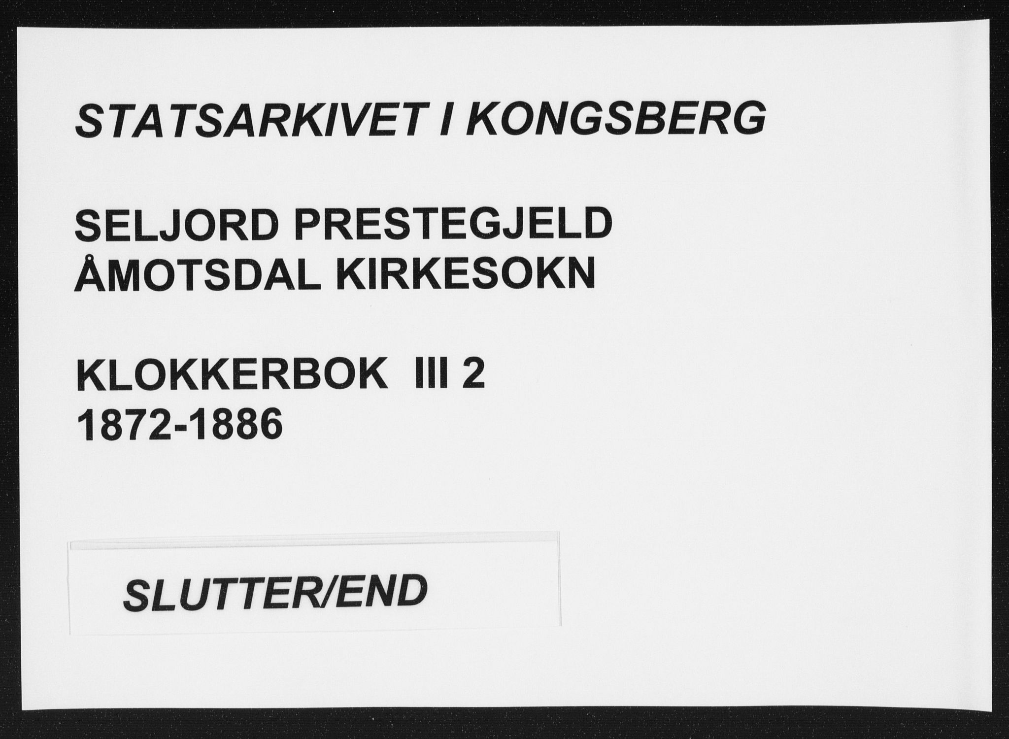 Seljord kirkebøker, SAKO/A-20/G/Gc/L0002: Klokkerbok nr. III 2, 1872-1886
