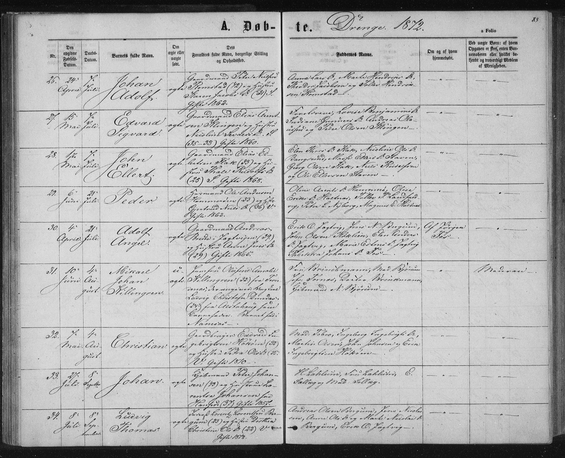 Ministerialprotokoller, klokkerbøker og fødselsregistre - Nord-Trøndelag, AV/SAT-A-1458/768/L0570: Ministerialbok nr. 768A05, 1865-1874, s. 83
