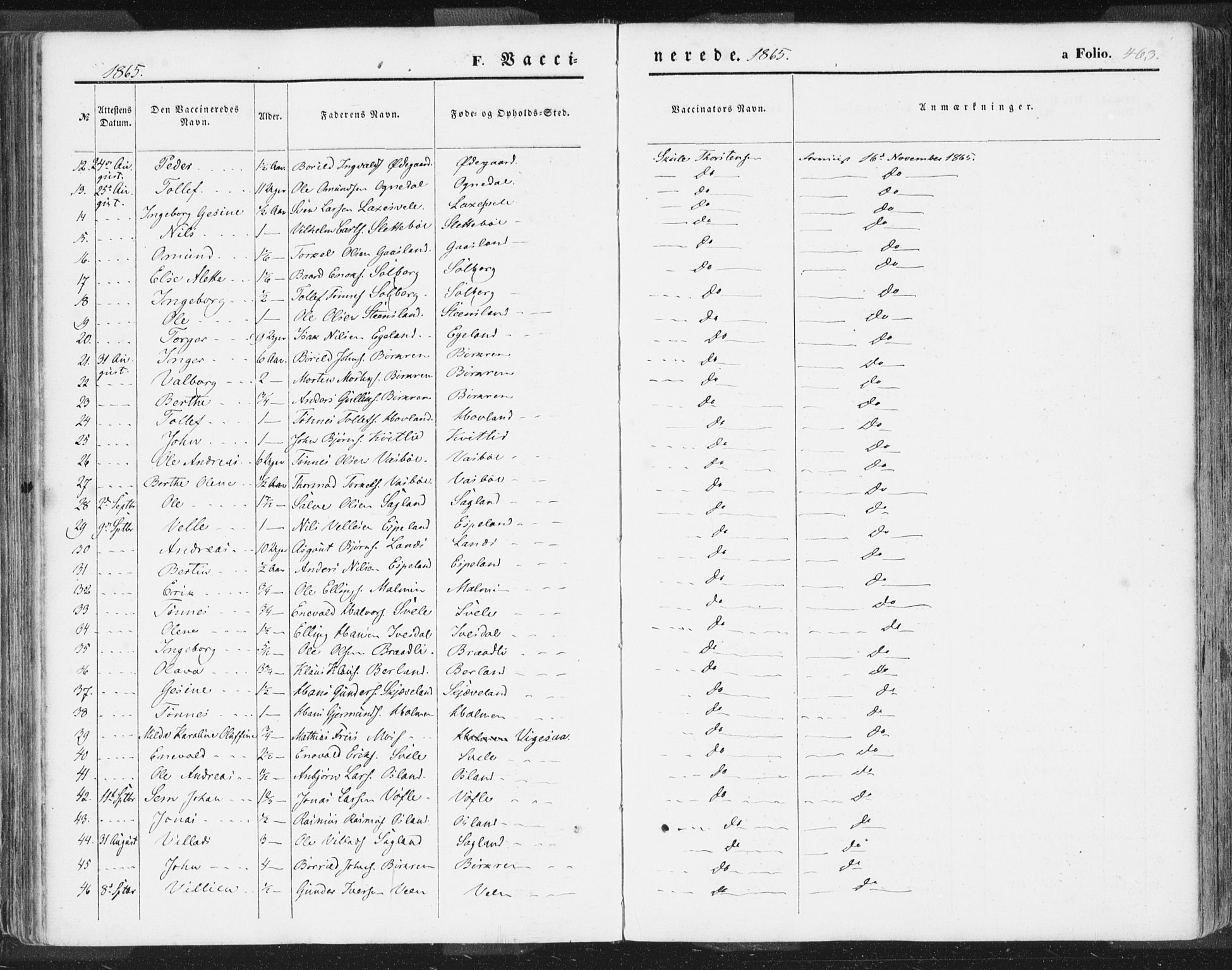 Helleland sokneprestkontor, SAST/A-101810: Ministerialbok nr. A 7.2, 1863-1886, s. 463