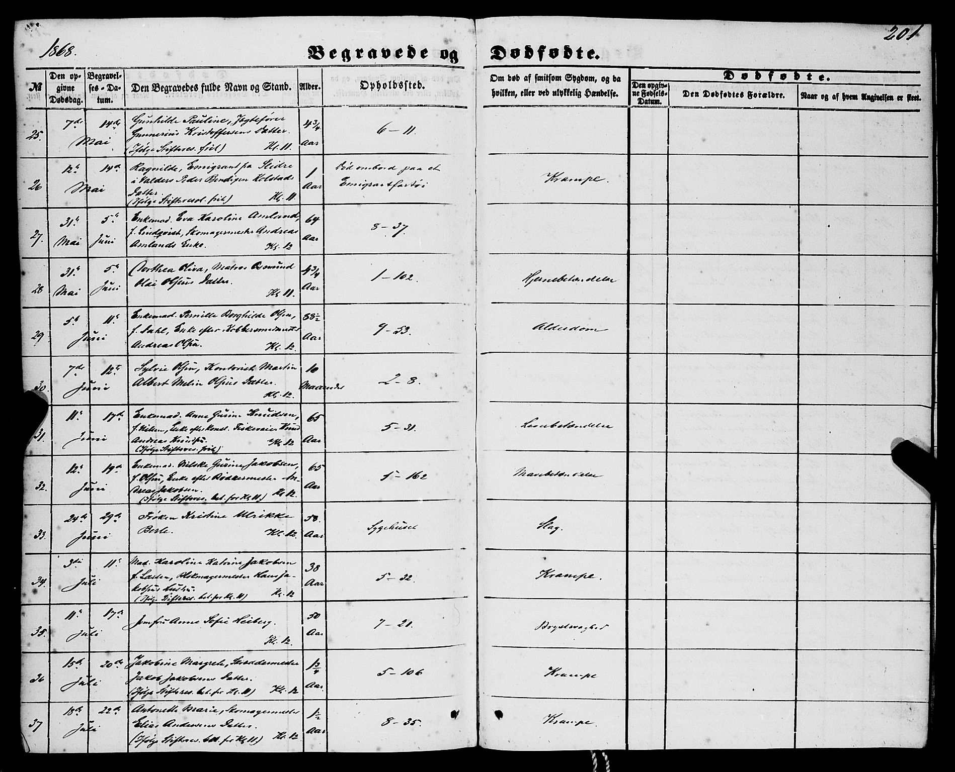 Nykirken Sokneprestembete, AV/SAB-A-77101/H/Haa/L0042: Ministerialbok nr. E 2, 1850-1868, s. 201