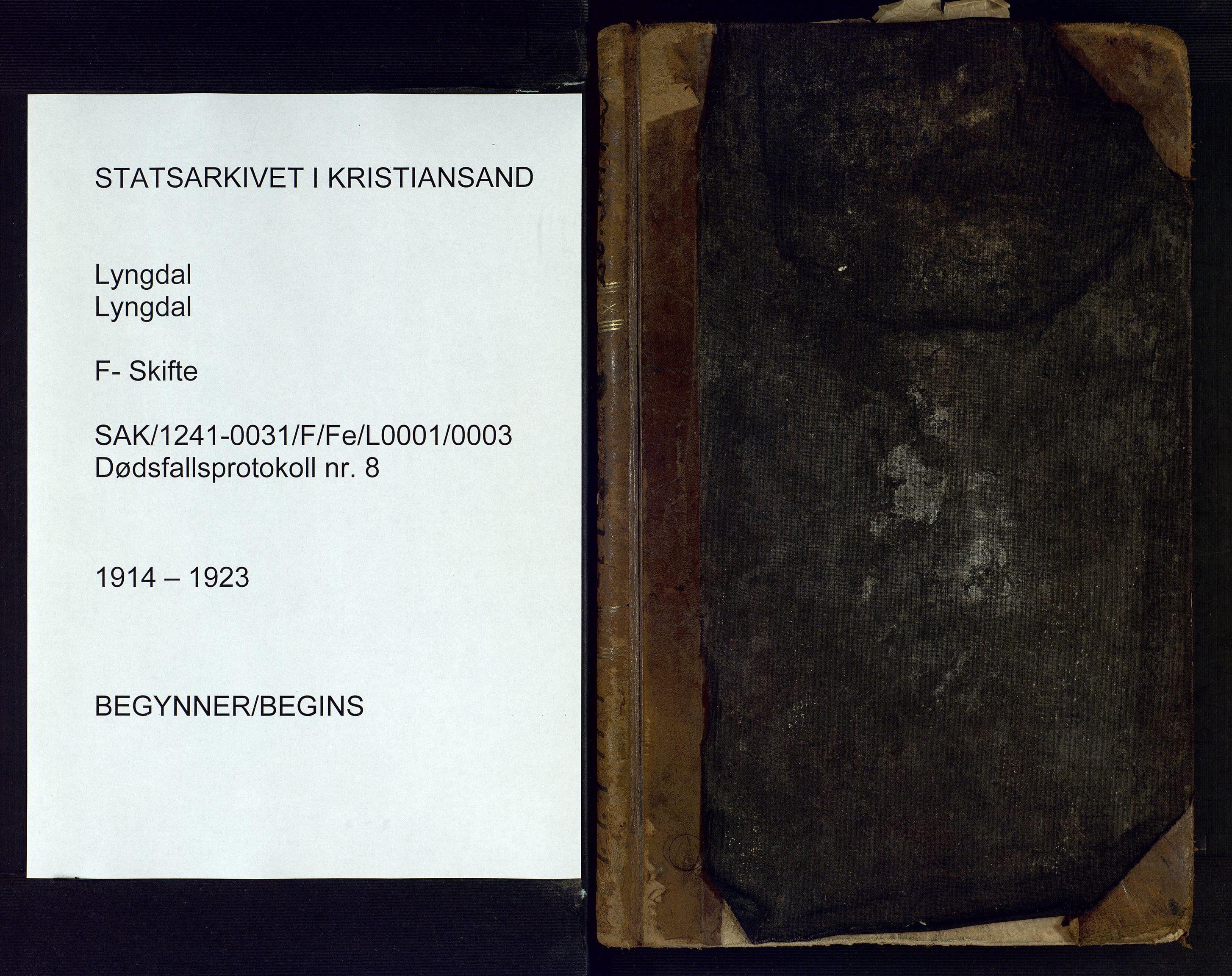 Lyngdal lensmannskontor, AV/SAK-1241-0031/F/Fe/L0001/0003: Dødsfall nr 8 / Dødsfallsprotokoll, 1914-1923