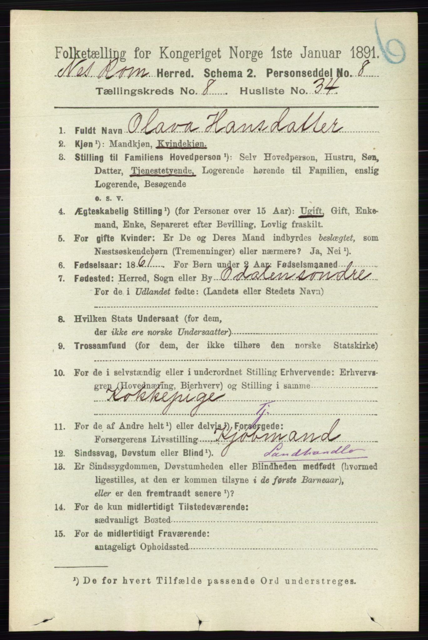 RA, Folketelling 1891 for 0236 Nes herred, 1891, s. 4820