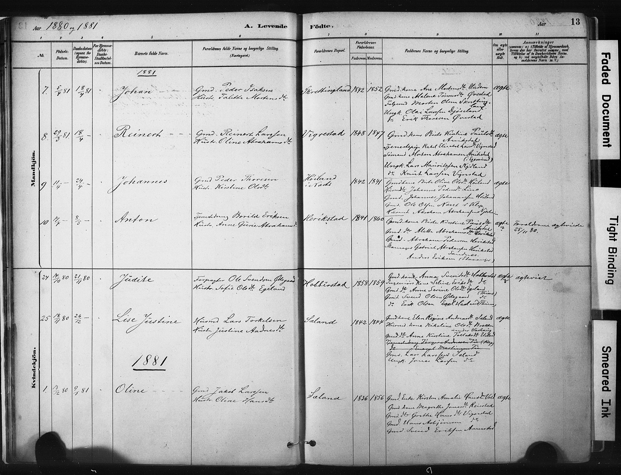 Hå sokneprestkontor, AV/SAST-A-101801/001/30BA/L0011: Ministerialbok nr. A 10, 1879-1900, s. 13