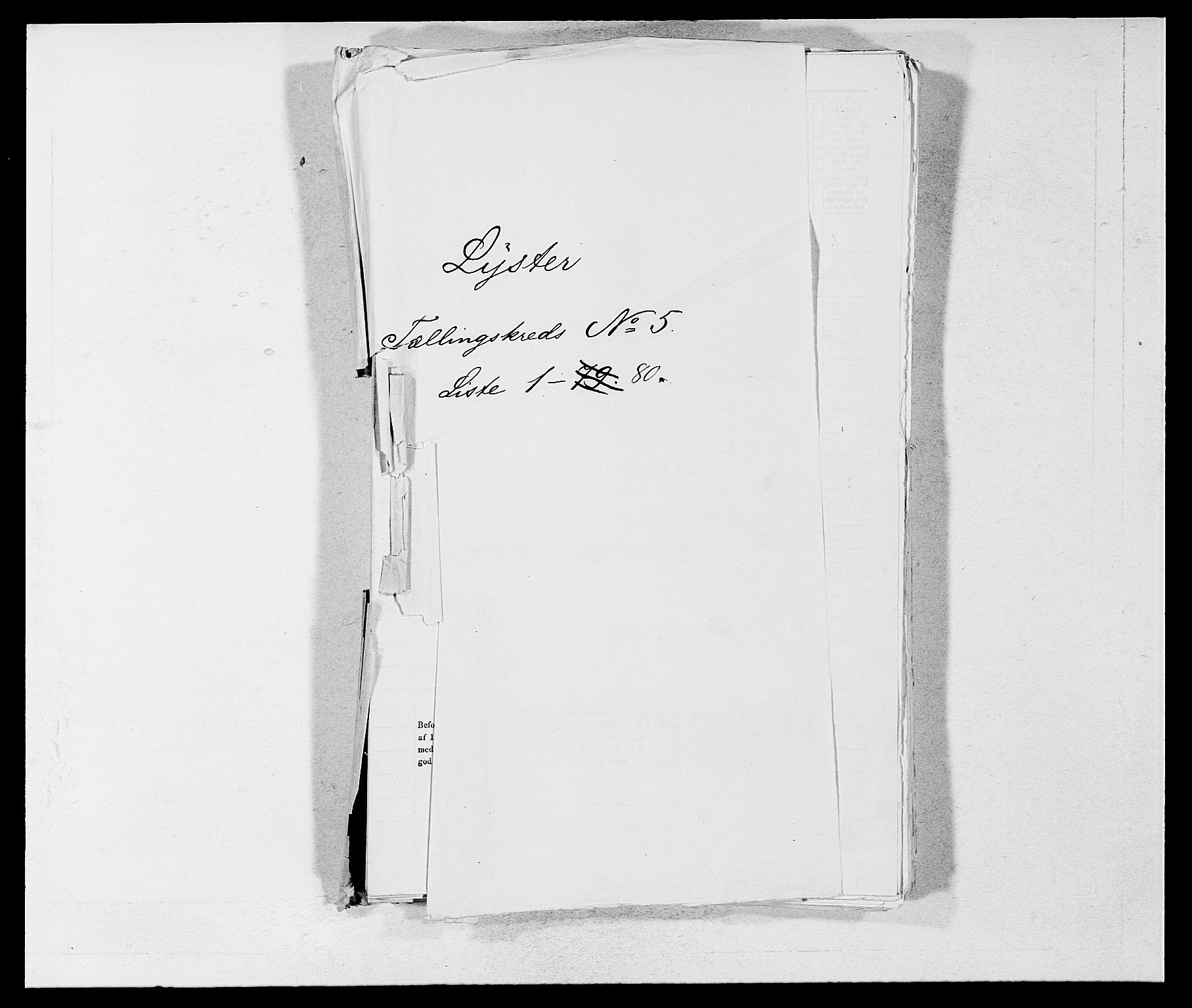 SAB, Folketelling 1875 for 1426P Luster prestegjeld, 1875, s. 774