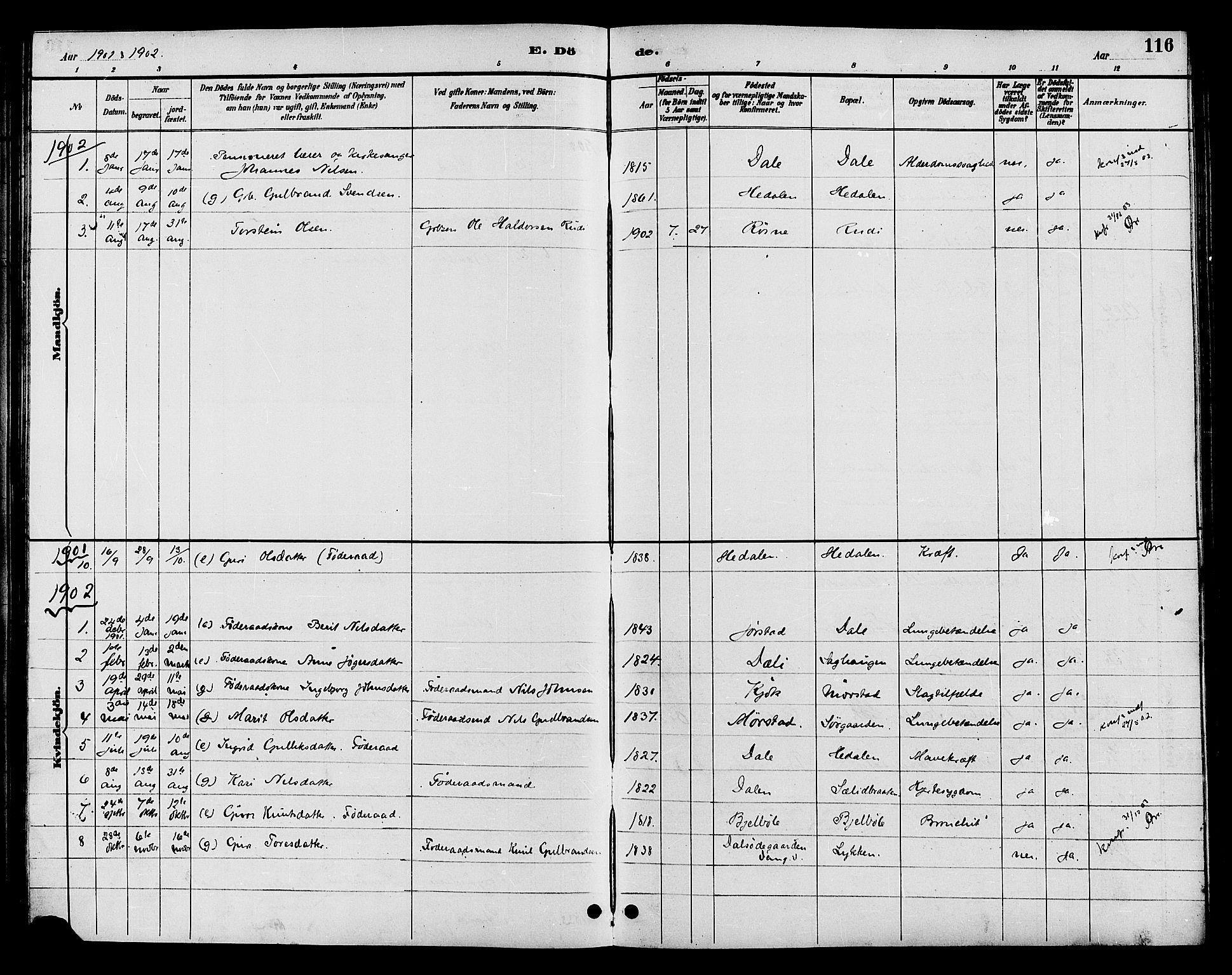 Øystre Slidre prestekontor, AV/SAH-PREST-138/H/Ha/Hab/L0004: Klokkerbok nr. 4, 1887-1907, s. 116