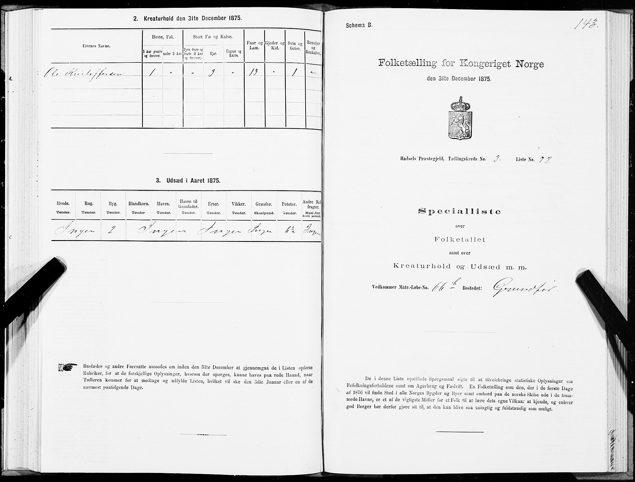 SAT, Folketelling 1875 for 1866P Hadsel prestegjeld, 1875, s. 2143