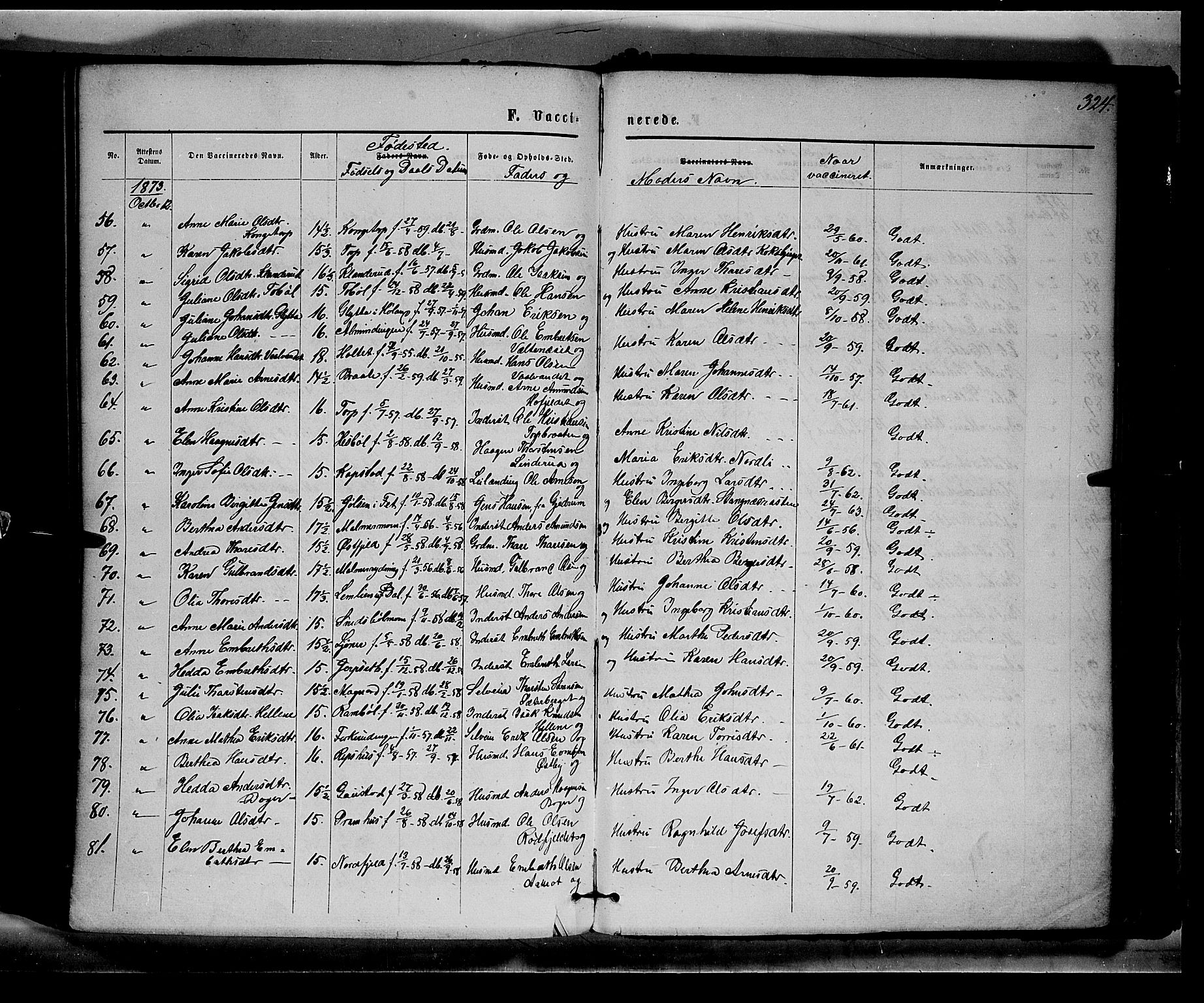 Eidskog prestekontor, AV/SAH-PREST-026/H/Ha/Haa/L0002: Ministerialbok nr. 2, 1867-1878, s. 324