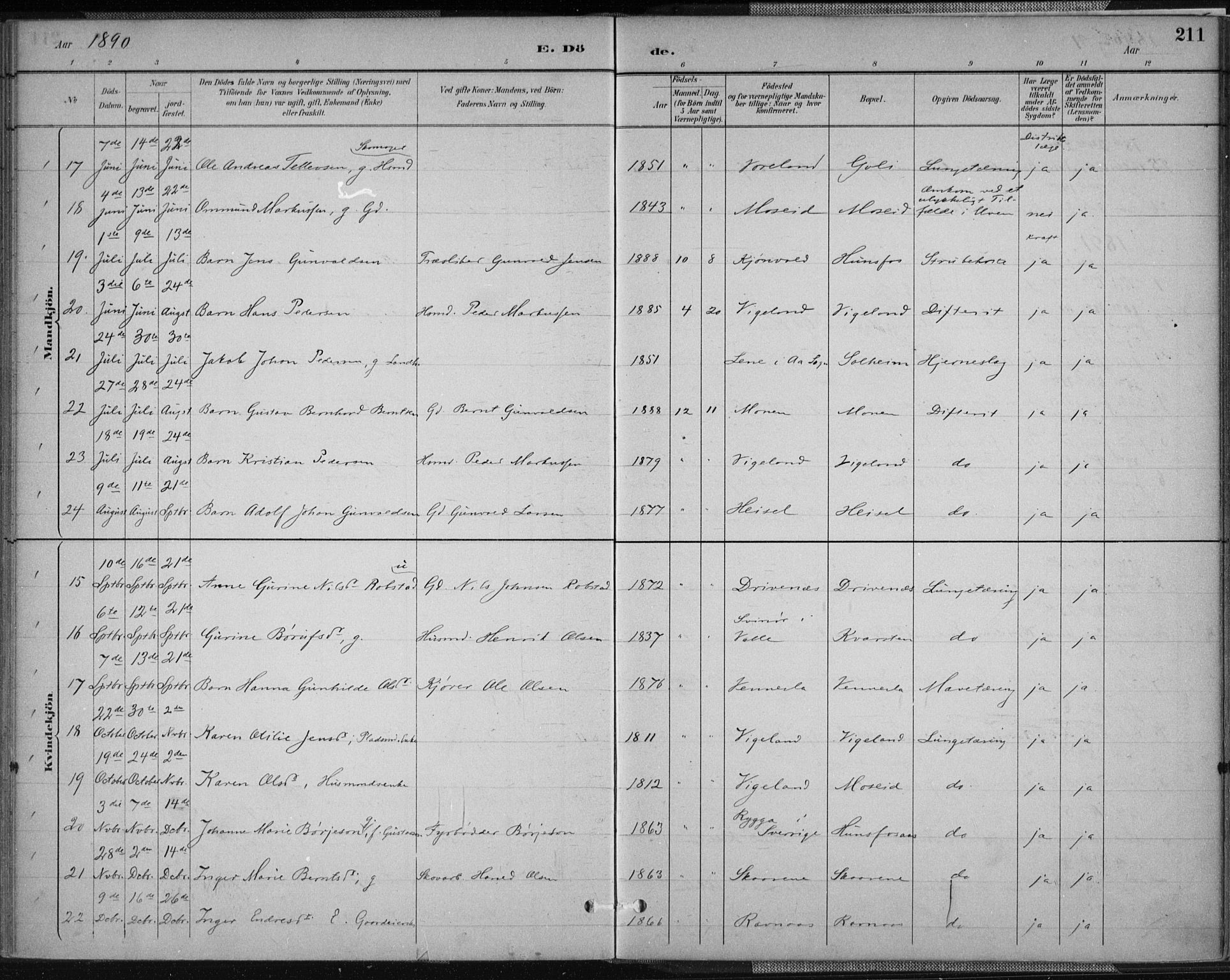 Vennesla sokneprestkontor, AV/SAK-1111-0045/Fa/Fab/L0004: Ministerialbok nr. A 4, 1884-1896, s. 211