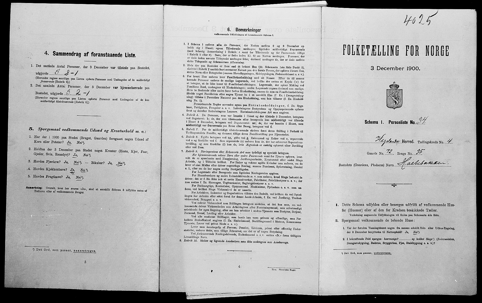 SAK, Folketelling 1900 for 1015 Hægeland herred, 1900, s. 253