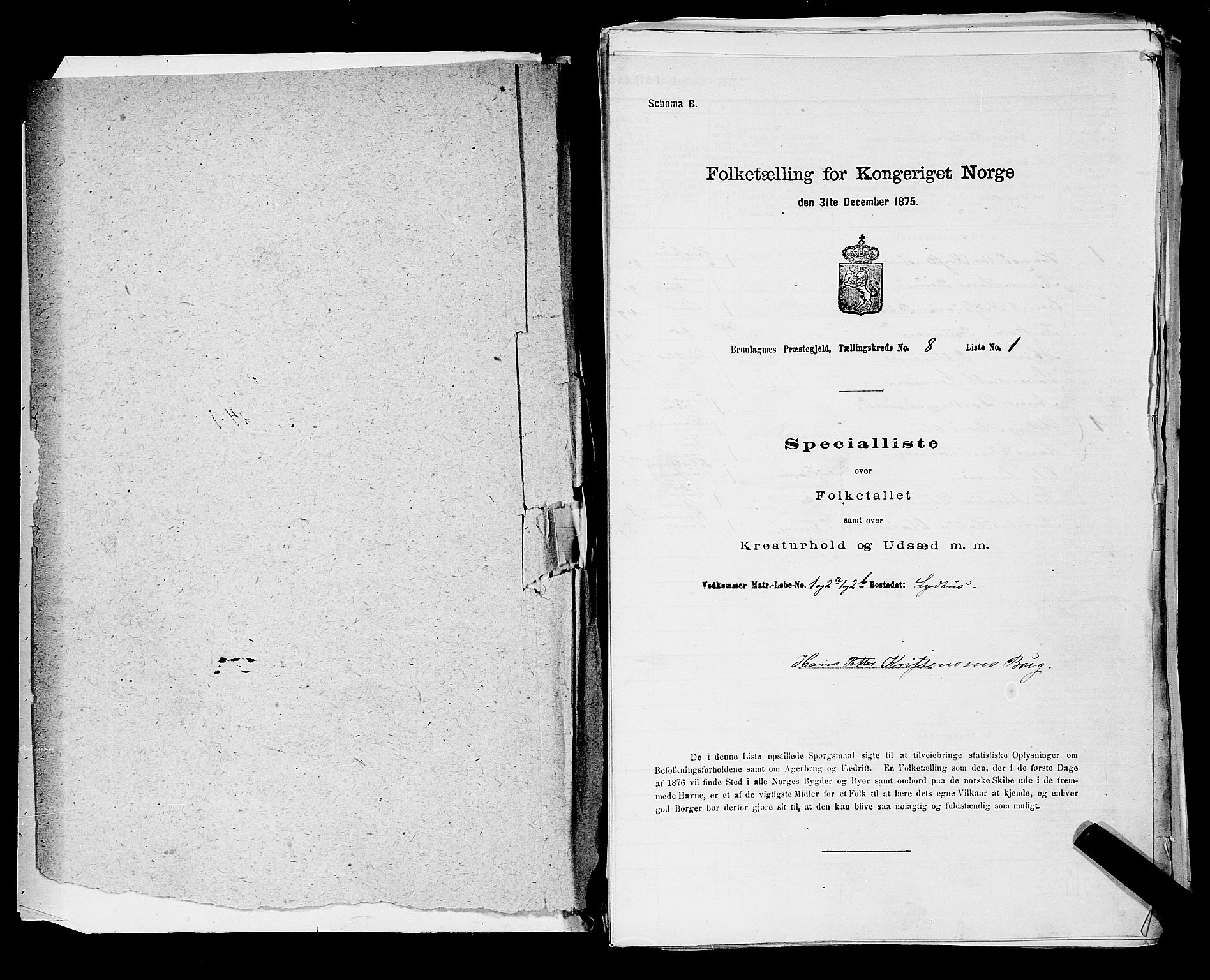 SAKO, Folketelling 1875 for 0726P Brunlanes prestegjeld, 1875, s. 894