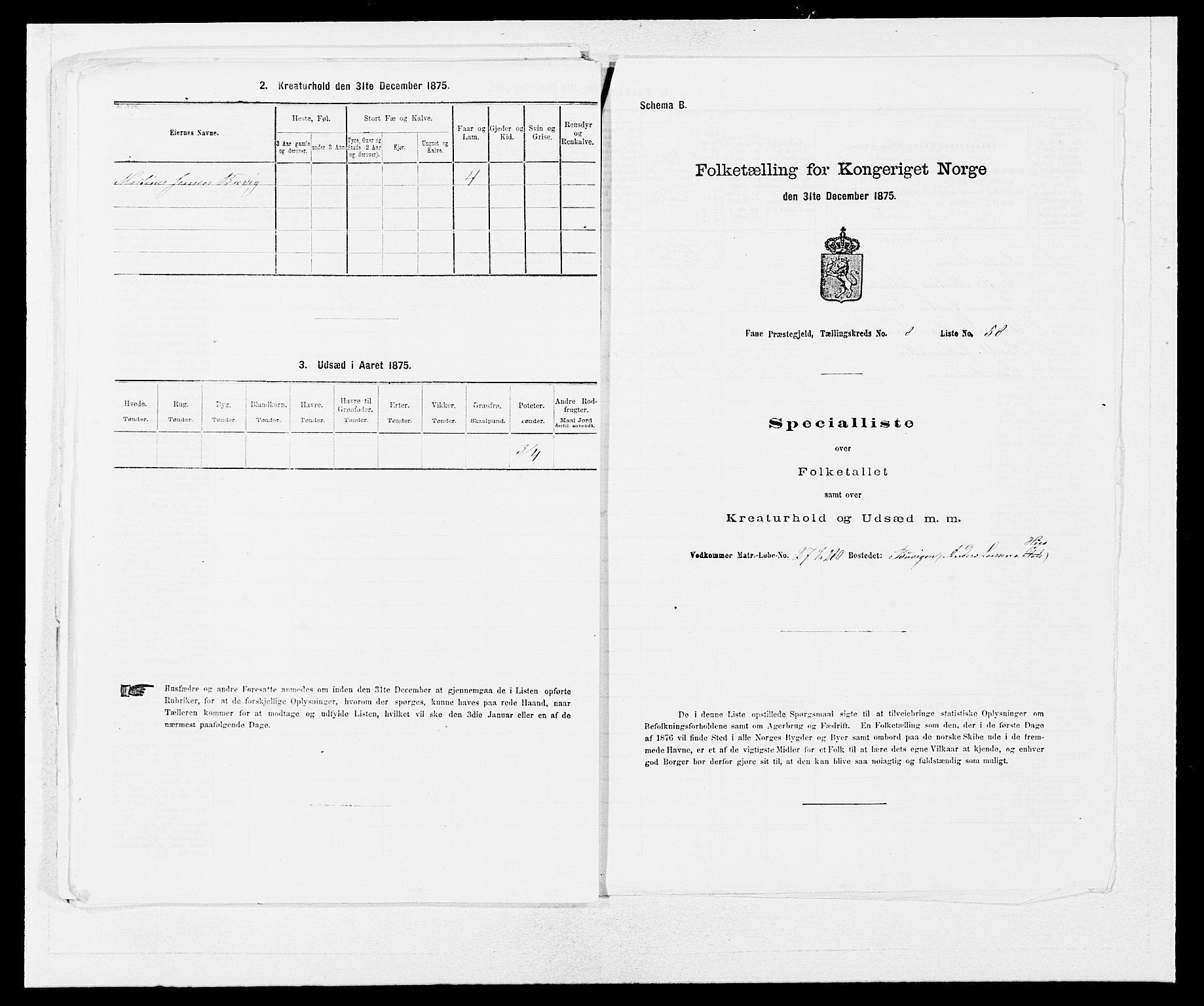 SAB, Folketelling 1875 for 1249P Fana prestegjeld, 1875, s. 894