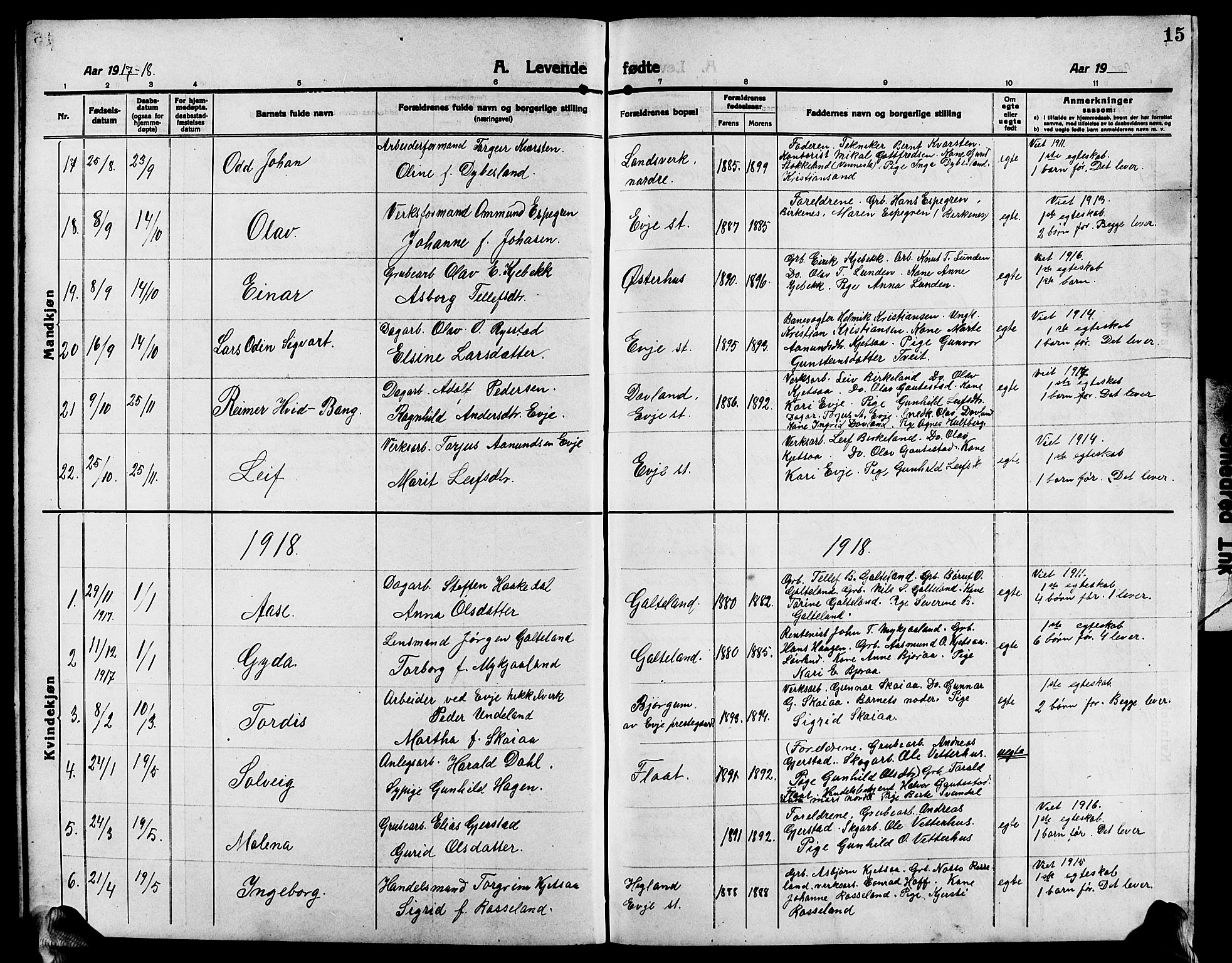 Evje sokneprestkontor, AV/SAK-1111-0008/F/Fb/Fba/L0005: Klokkerbok nr. B 5, 1914-1926, s. 15