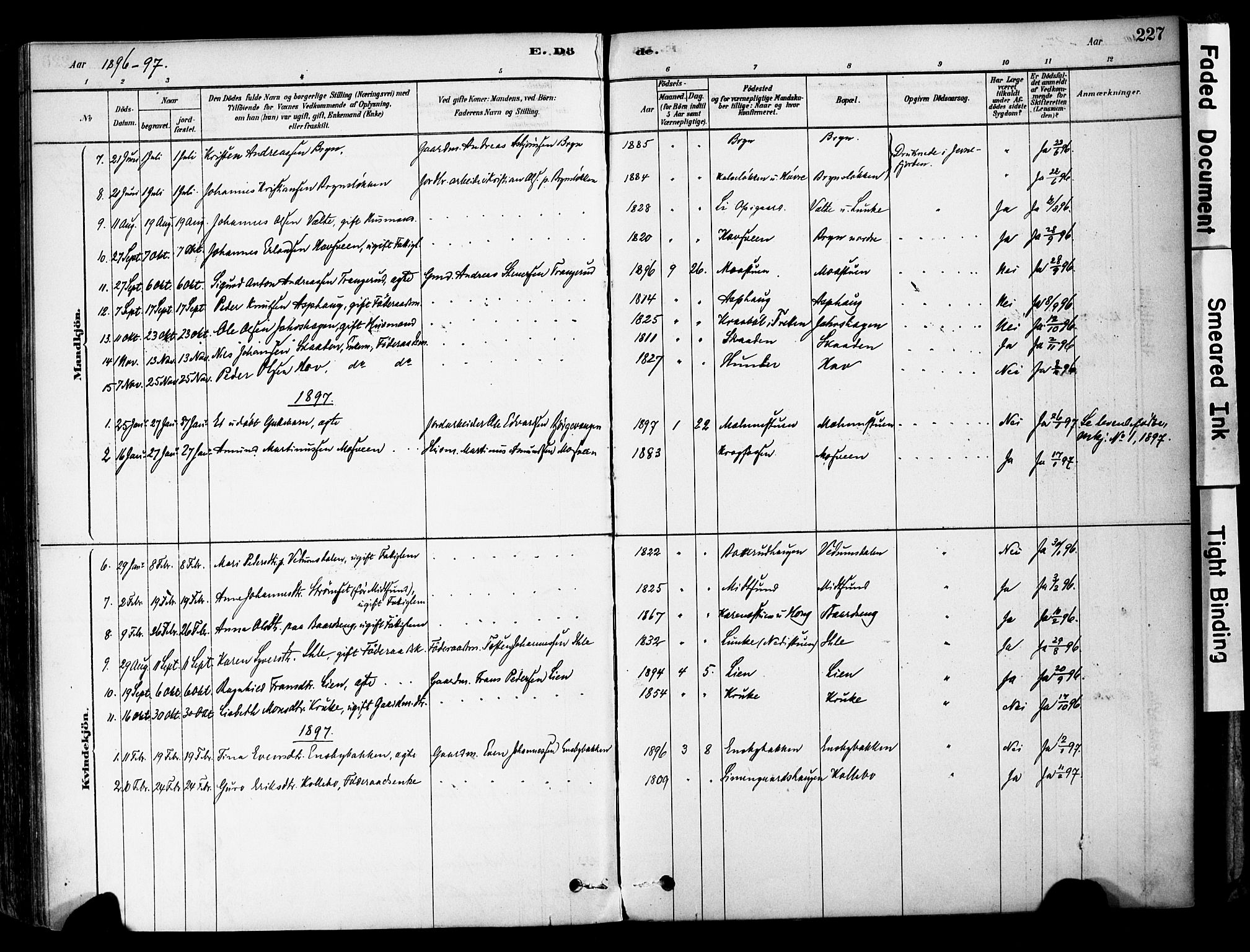 Øyer prestekontor, AV/SAH-PREST-084/H/Ha/Haa/L0008: Ministerialbok nr. 8, 1878-1897, s. 227