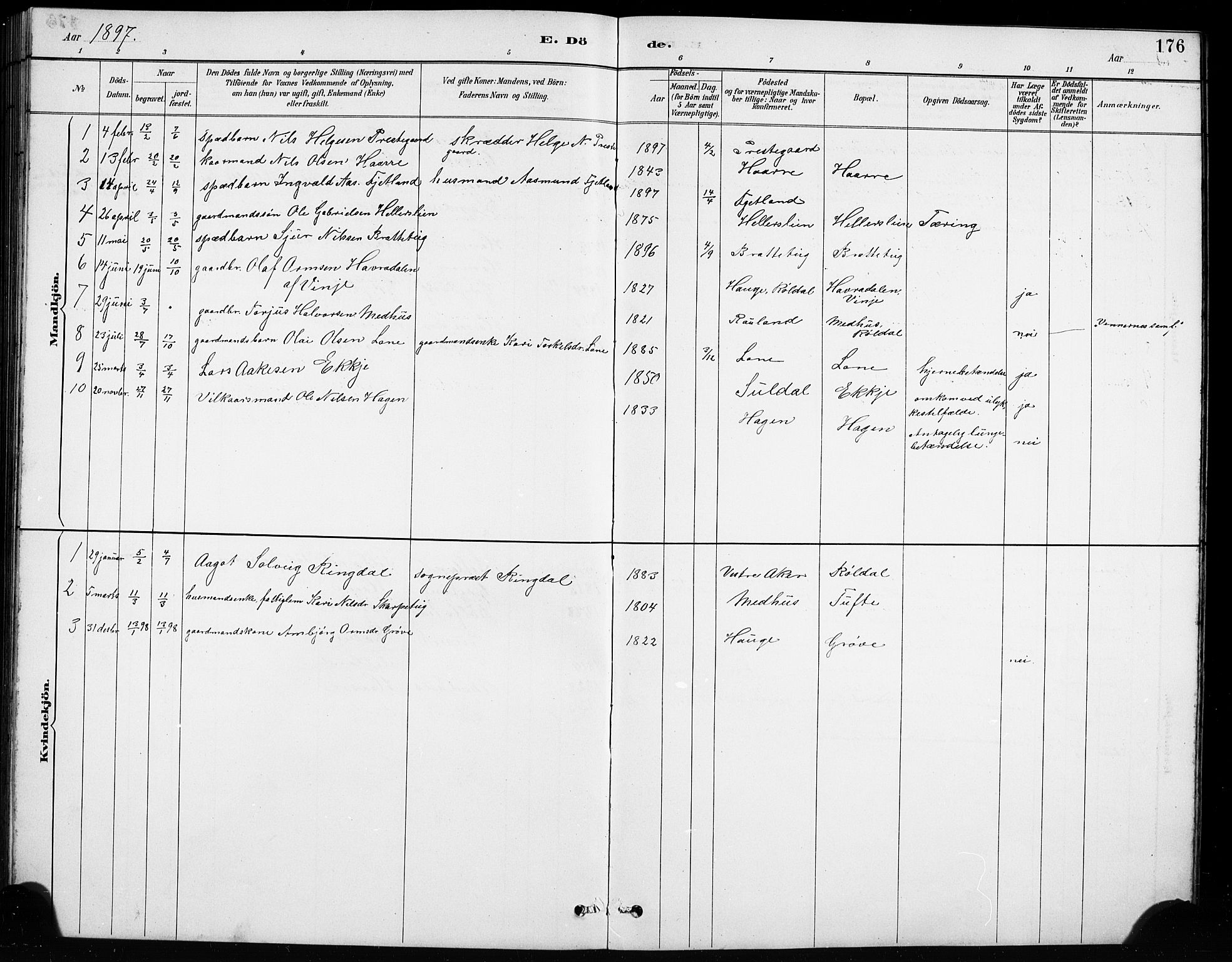 Røldal sokneprestembete, AV/SAB-A-100247: Klokkerbok nr. A 3, 1887-1917, s. 176