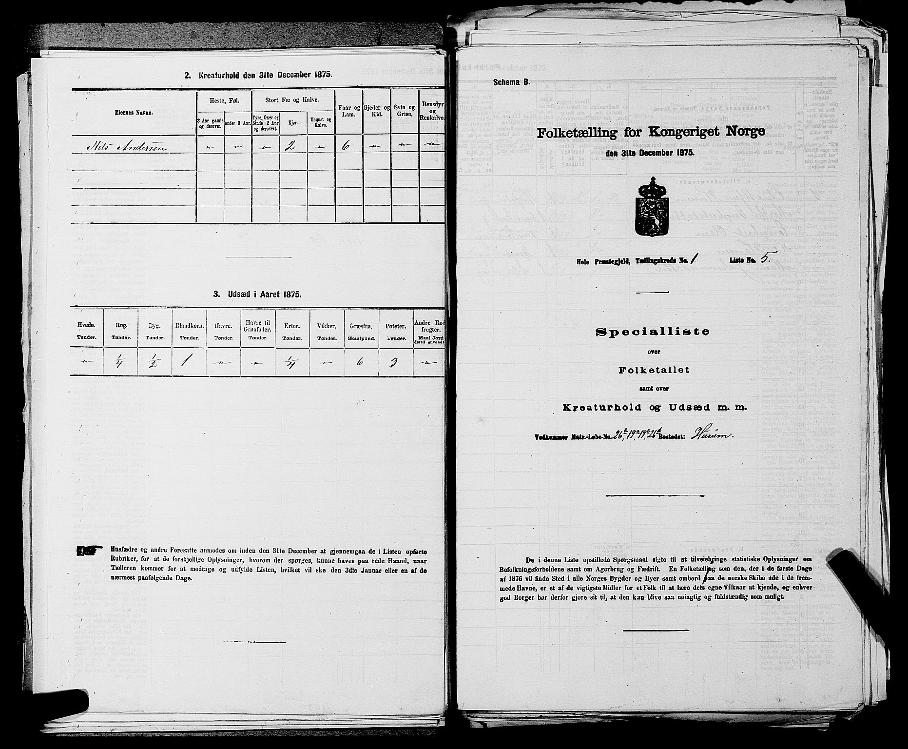 SAKO, Folketelling 1875 for 0612P Hole prestegjeld, 1875, s. 156