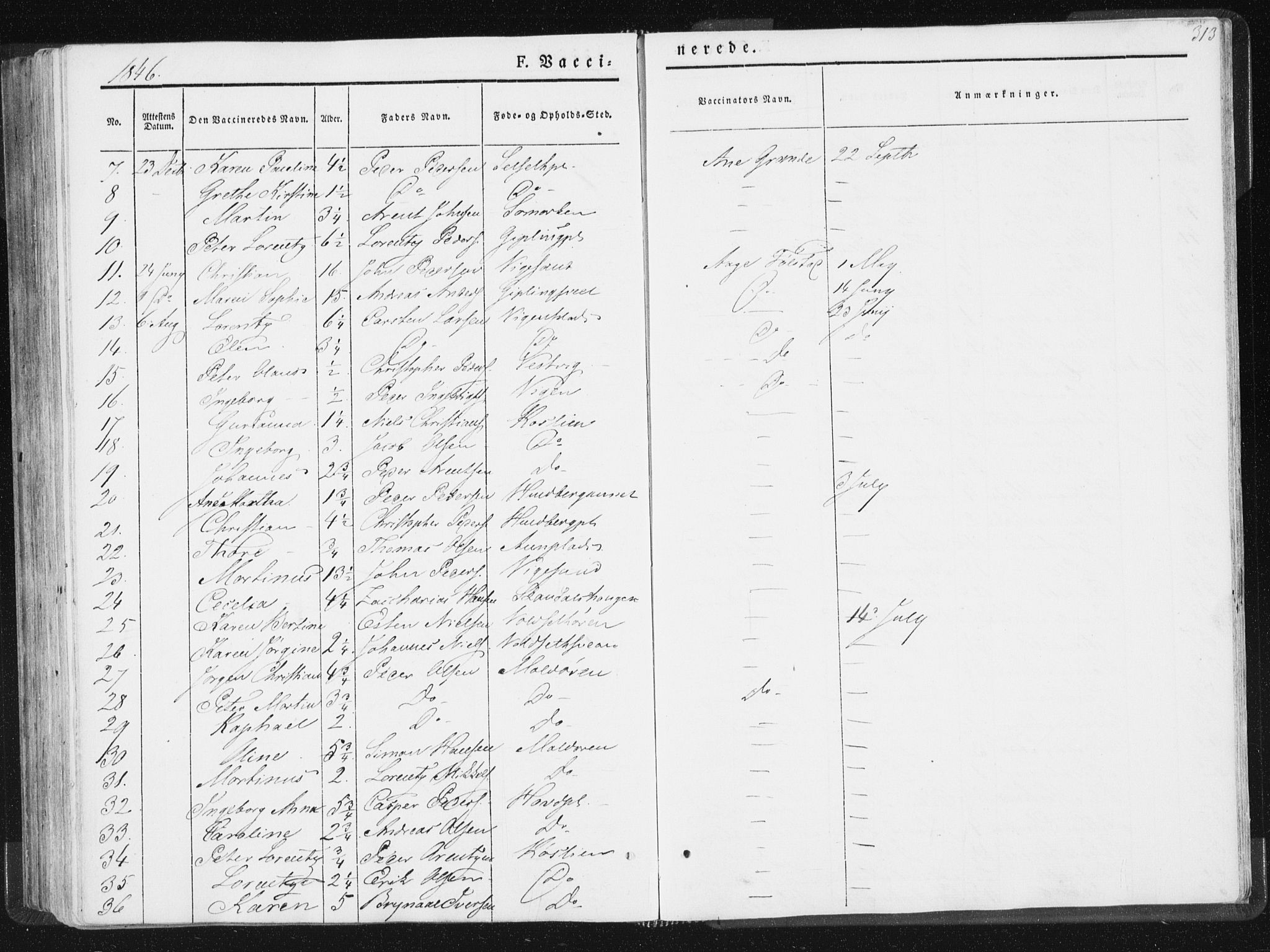 Ministerialprotokoller, klokkerbøker og fødselsregistre - Nord-Trøndelag, AV/SAT-A-1458/744/L0418: Ministerialbok nr. 744A02, 1843-1866, s. 313