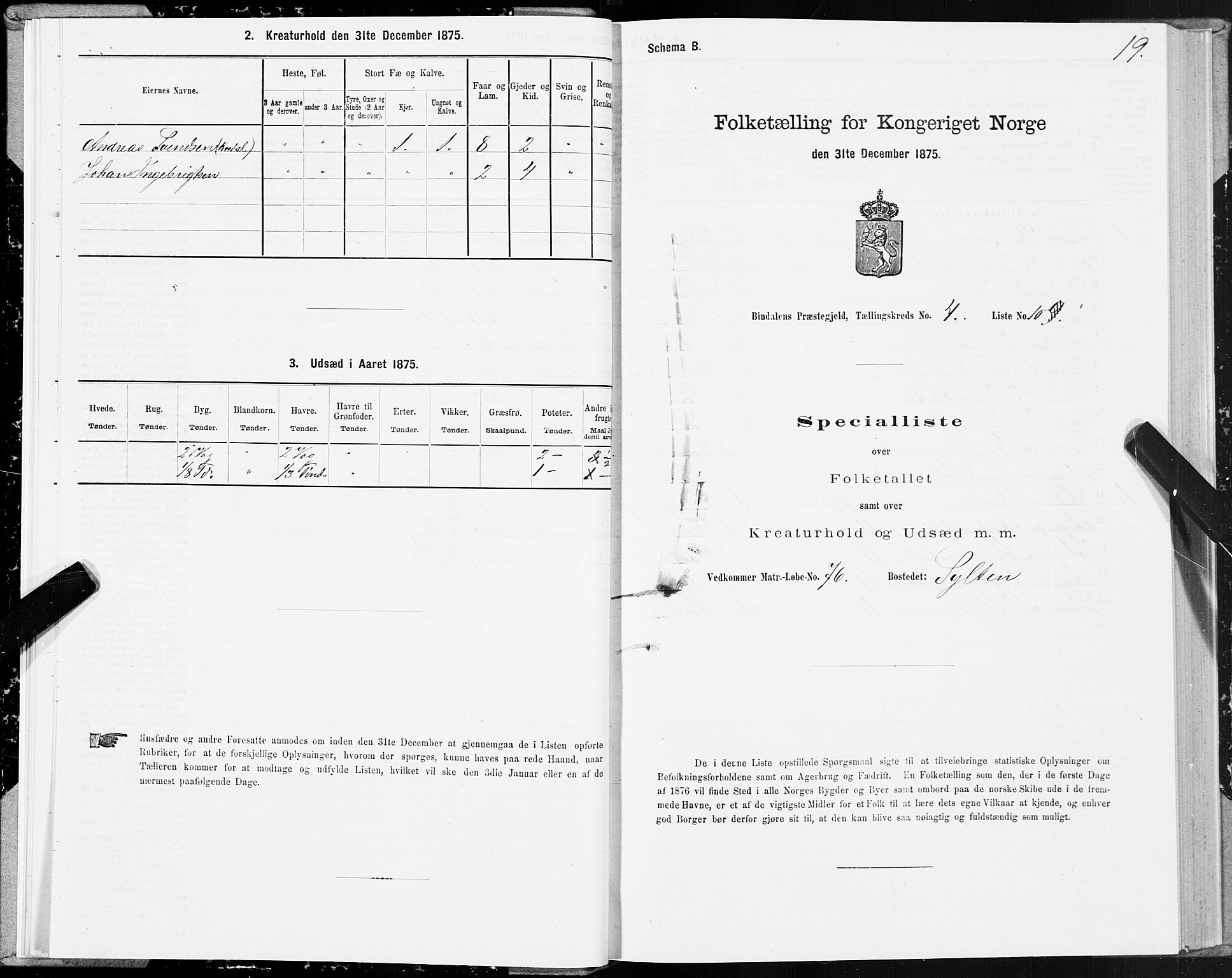 SAT, Folketelling 1875 for 1811P Bindal prestegjeld, 1875, s. 2019