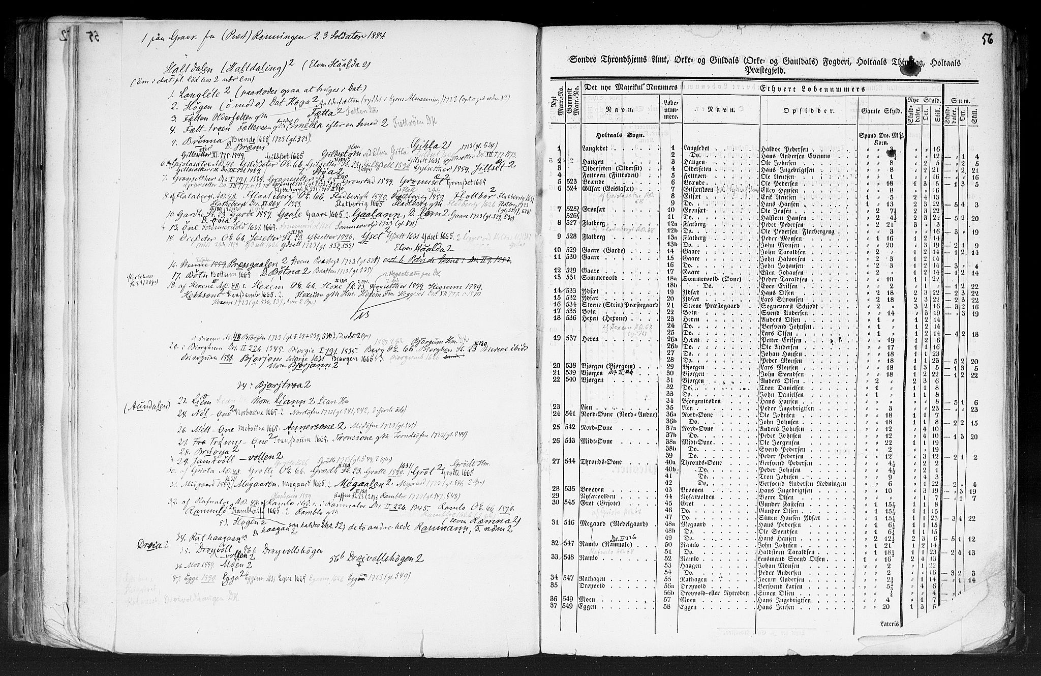 Rygh, RA/PA-0034/F/Fb/L0014: Matrikkelen for 1838 - Søndre Trondhjems amt (Sør-Trøndelag fylke), 1838, s. 56a