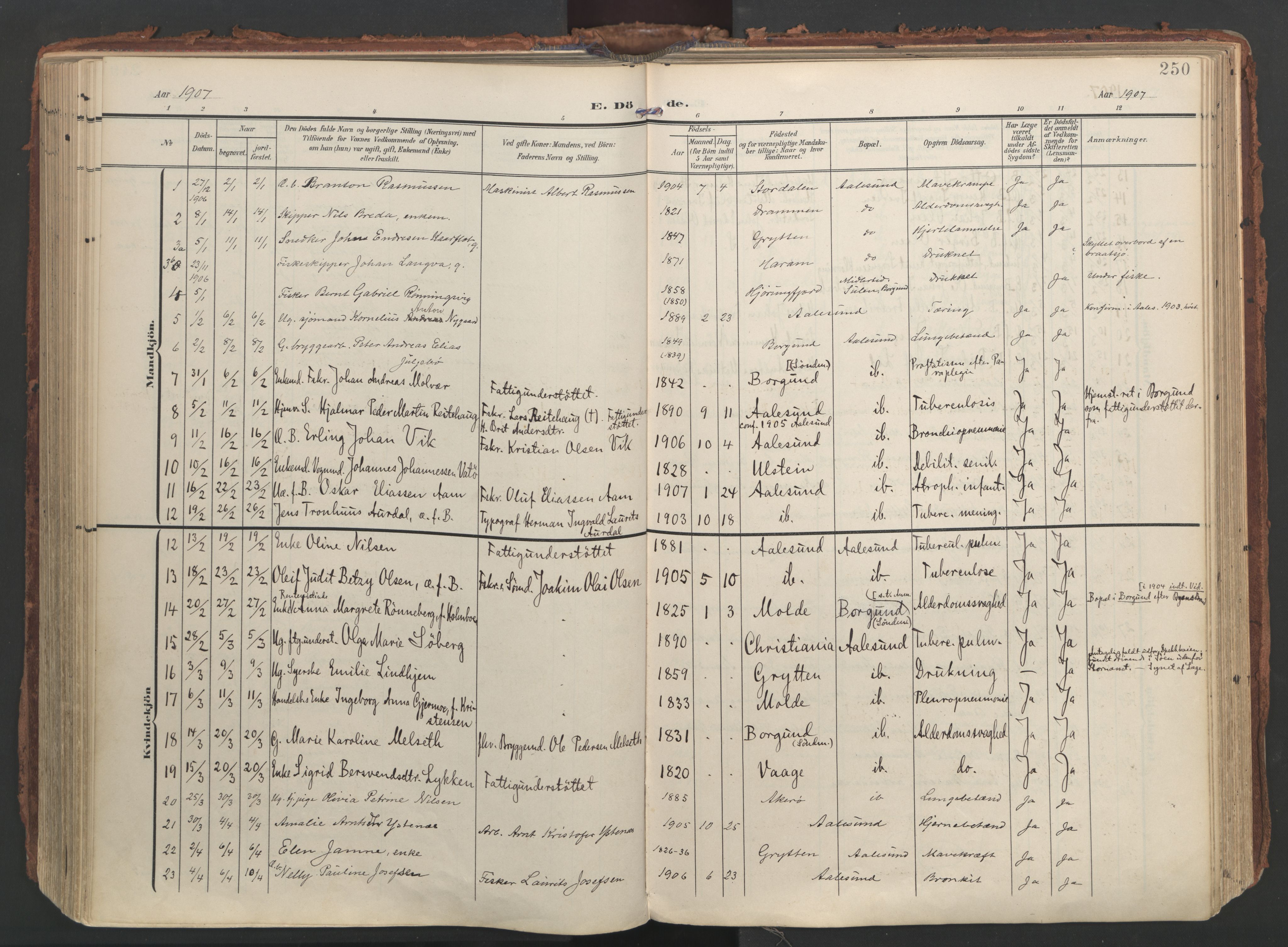 Ministerialprotokoller, klokkerbøker og fødselsregistre - Møre og Romsdal, AV/SAT-A-1454/529/L0459: Ministerialbok nr. 529A09, 1904-1917, s. 250
