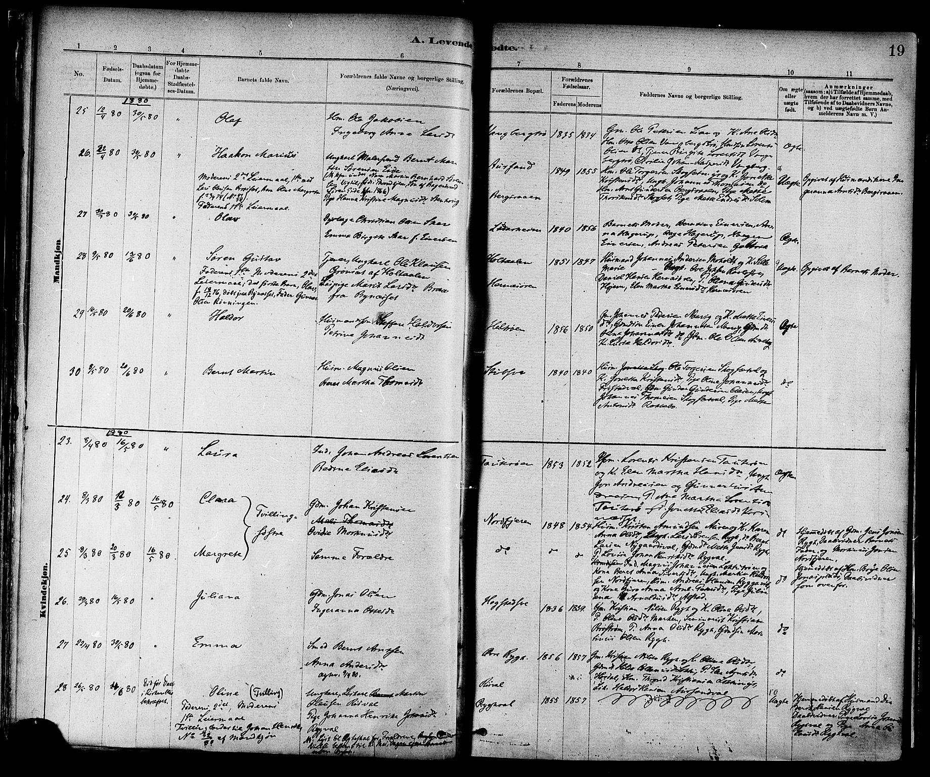 Ministerialprotokoller, klokkerbøker og fødselsregistre - Nord-Trøndelag, SAT/A-1458/713/L0120: Ministerialbok nr. 713A09, 1878-1887, s. 19